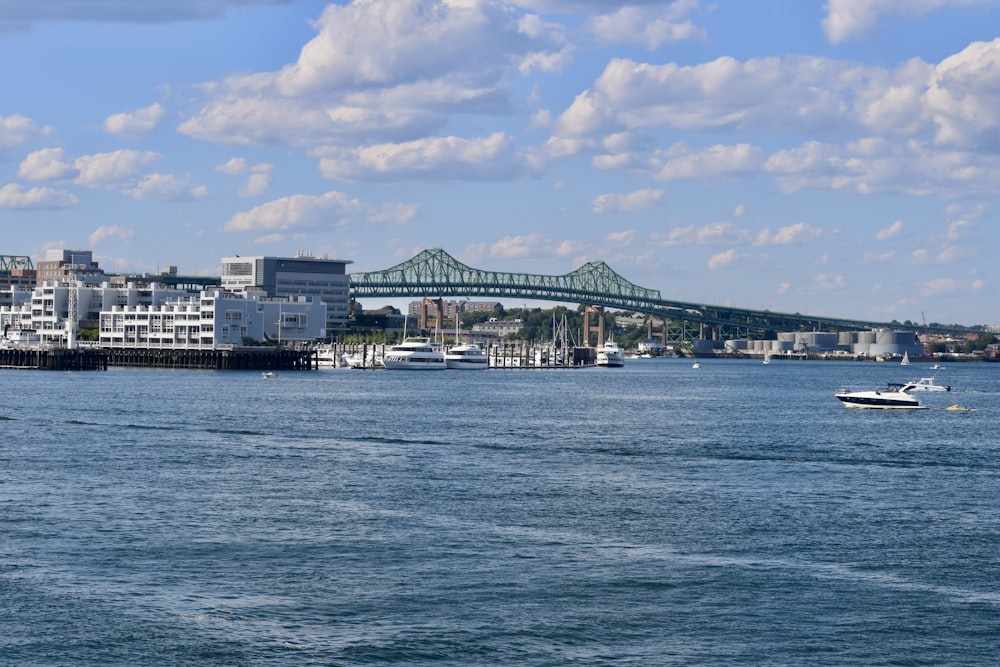 a large body of water with a bridge in the background