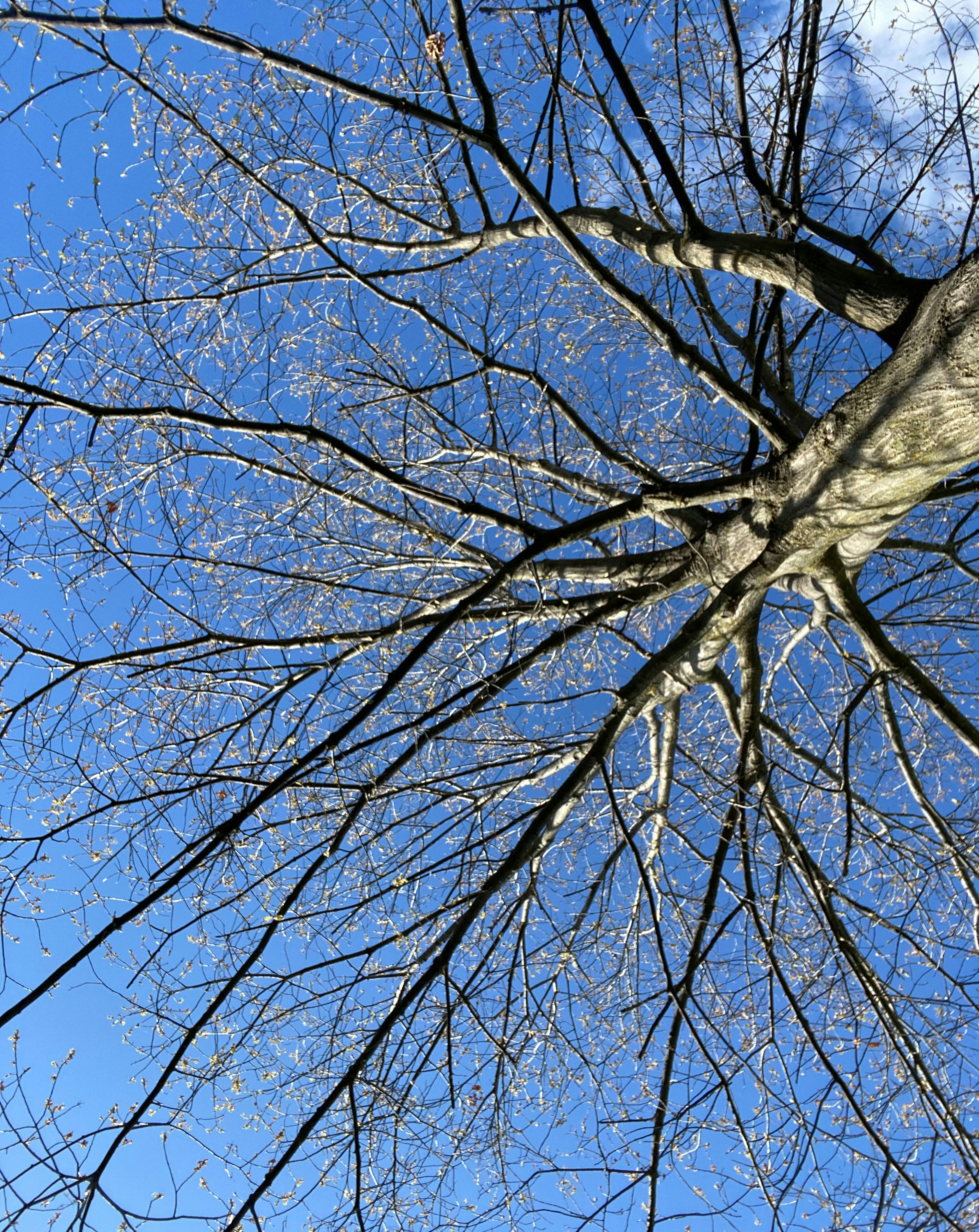 Photo by artthrougheyes