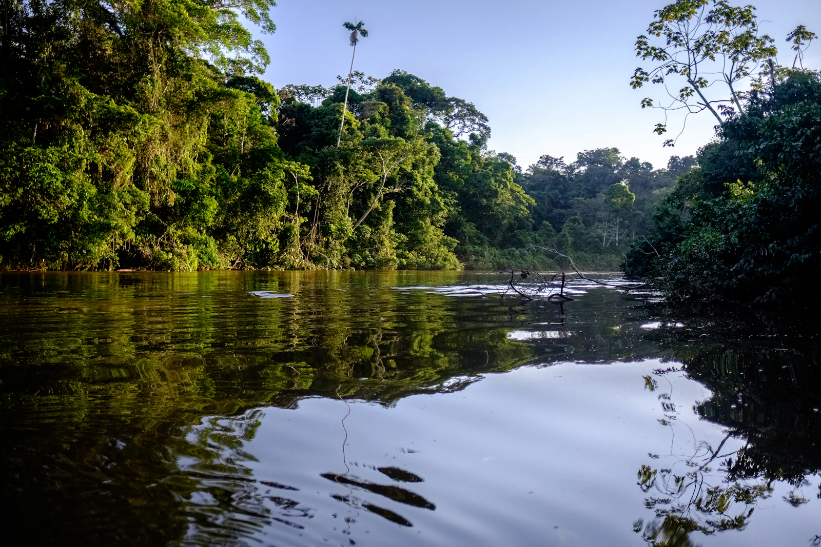 Guyane