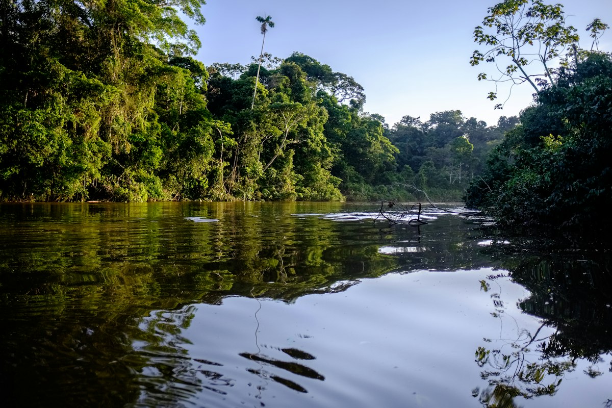 A still blackwater river winding through dense Amazon rainforest in northern Brazil
