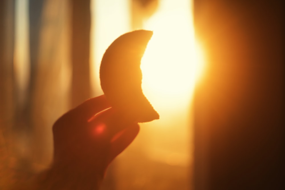 a person's hand holding a banana in the sunlight