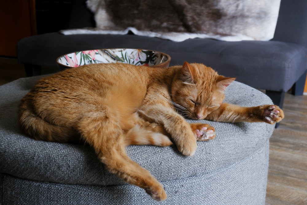 an orange cat sleeping on a grey ottoman
