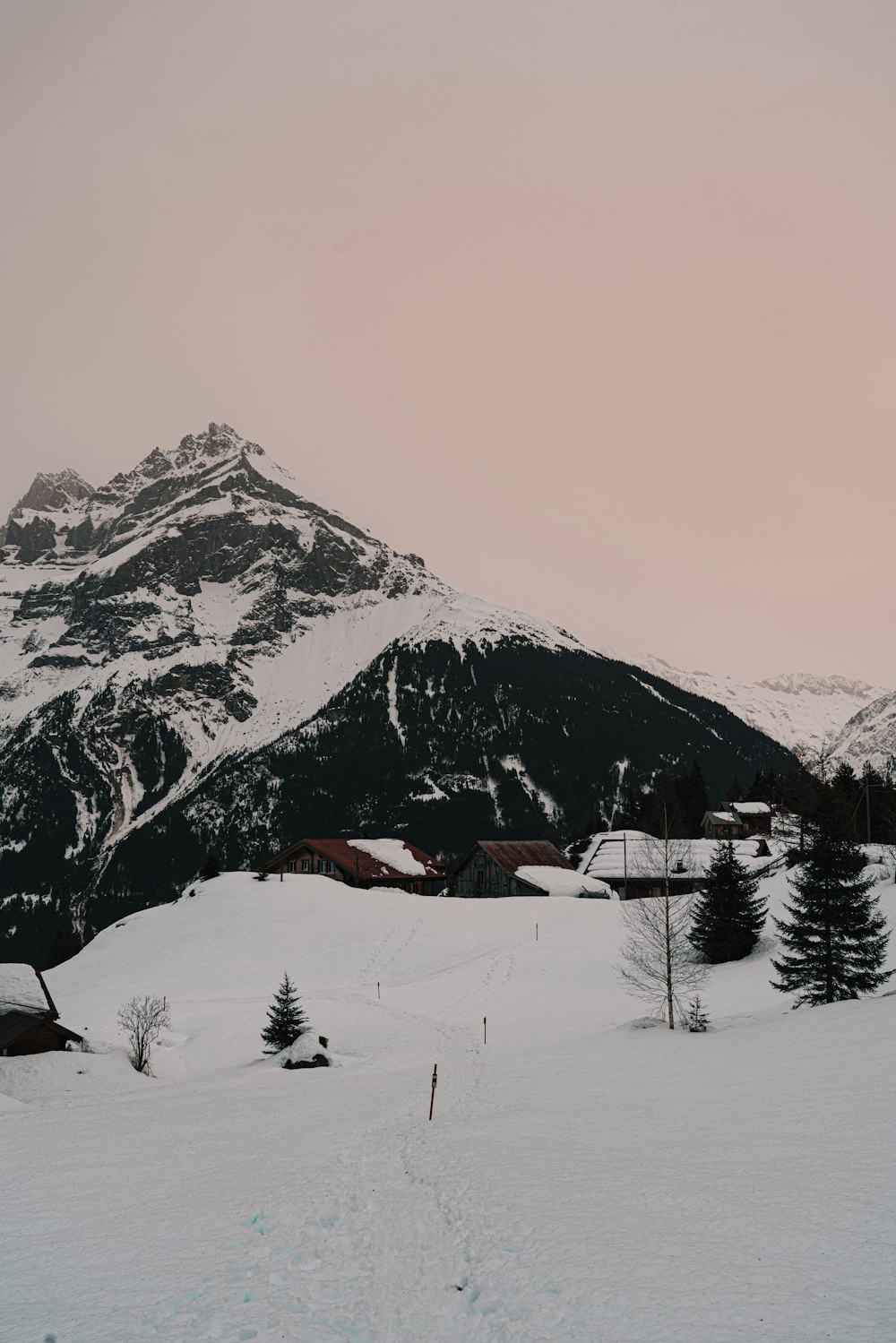 a snowy landscape with a mountain in the background