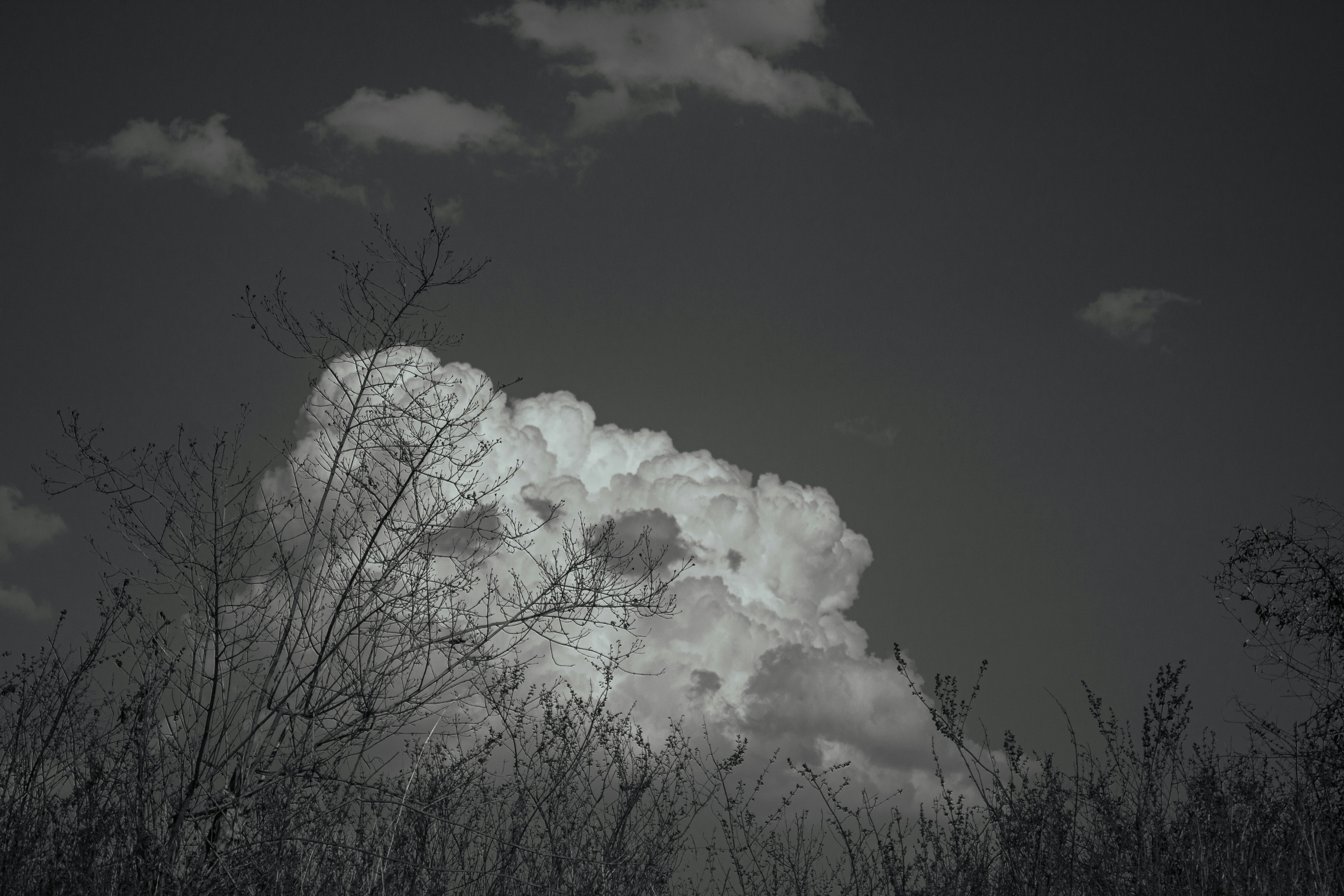 une photo en noir et blanc d’un nuage dans le ciel