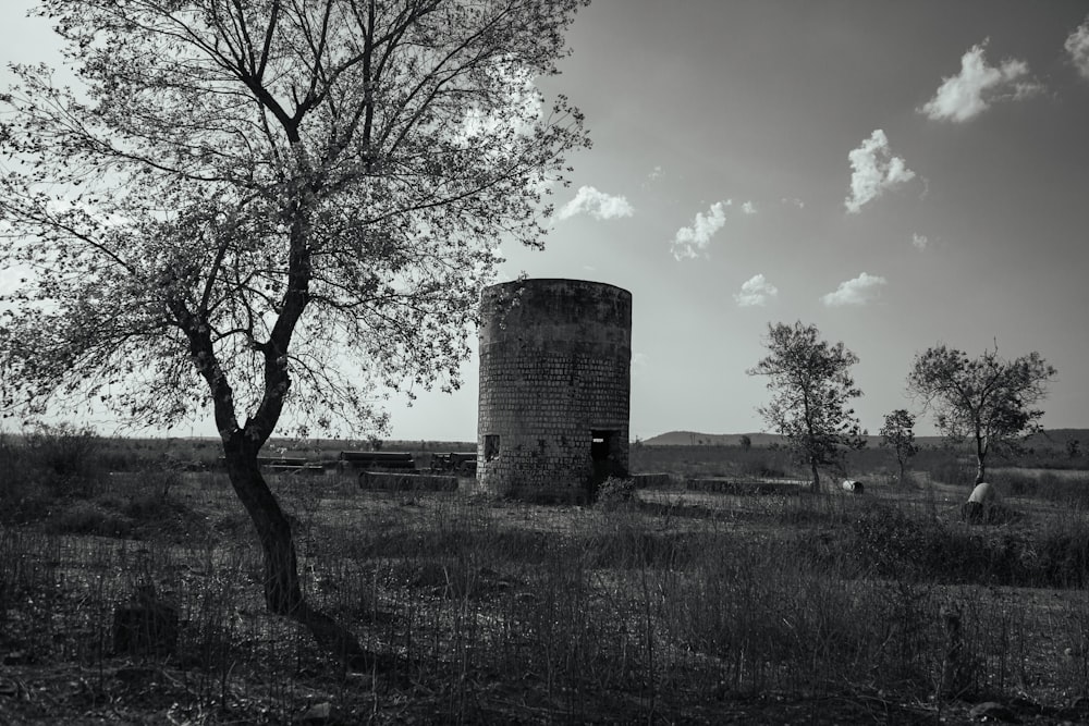 a black and white photo of a tree in a field