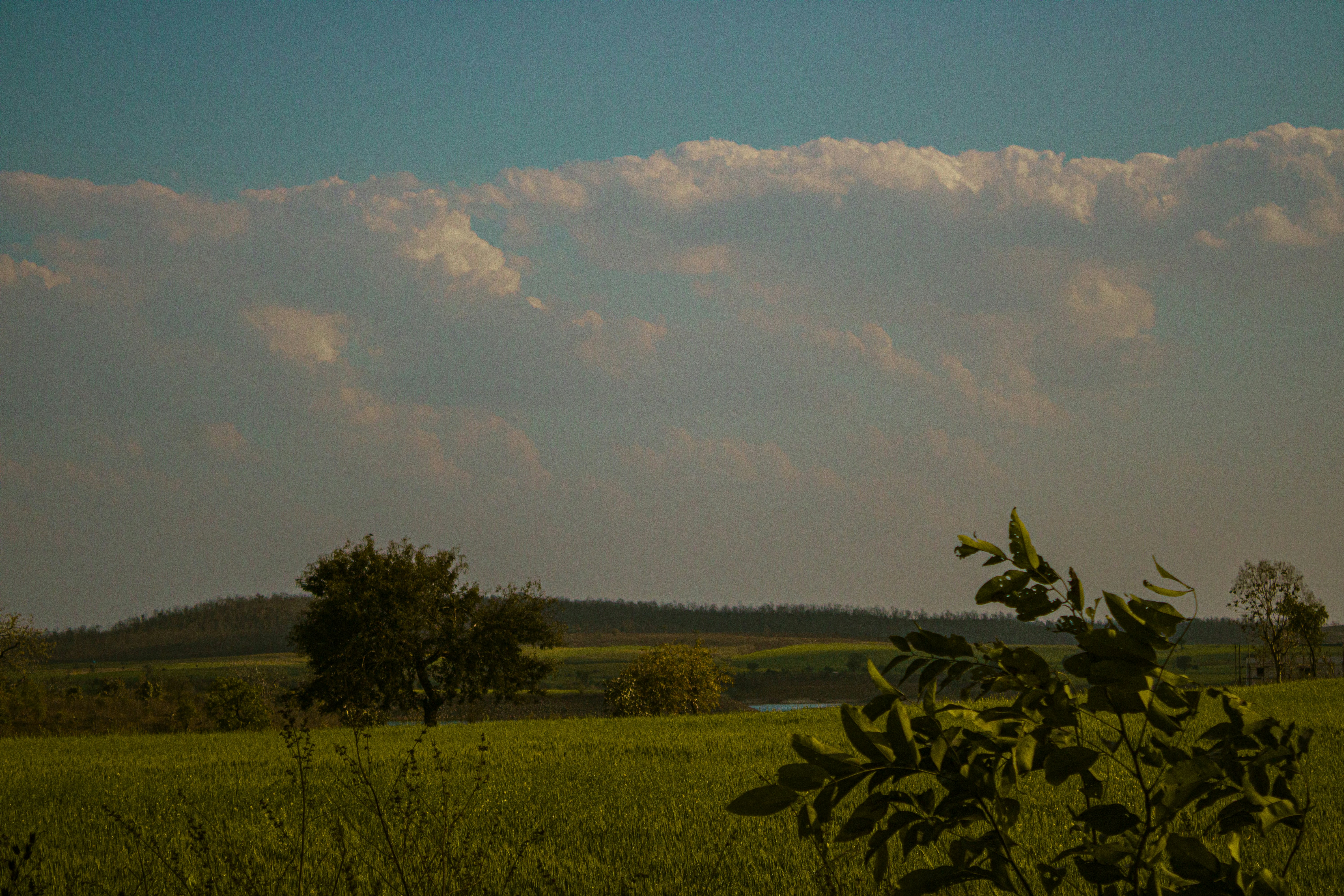 Photo by ____aka_dev0