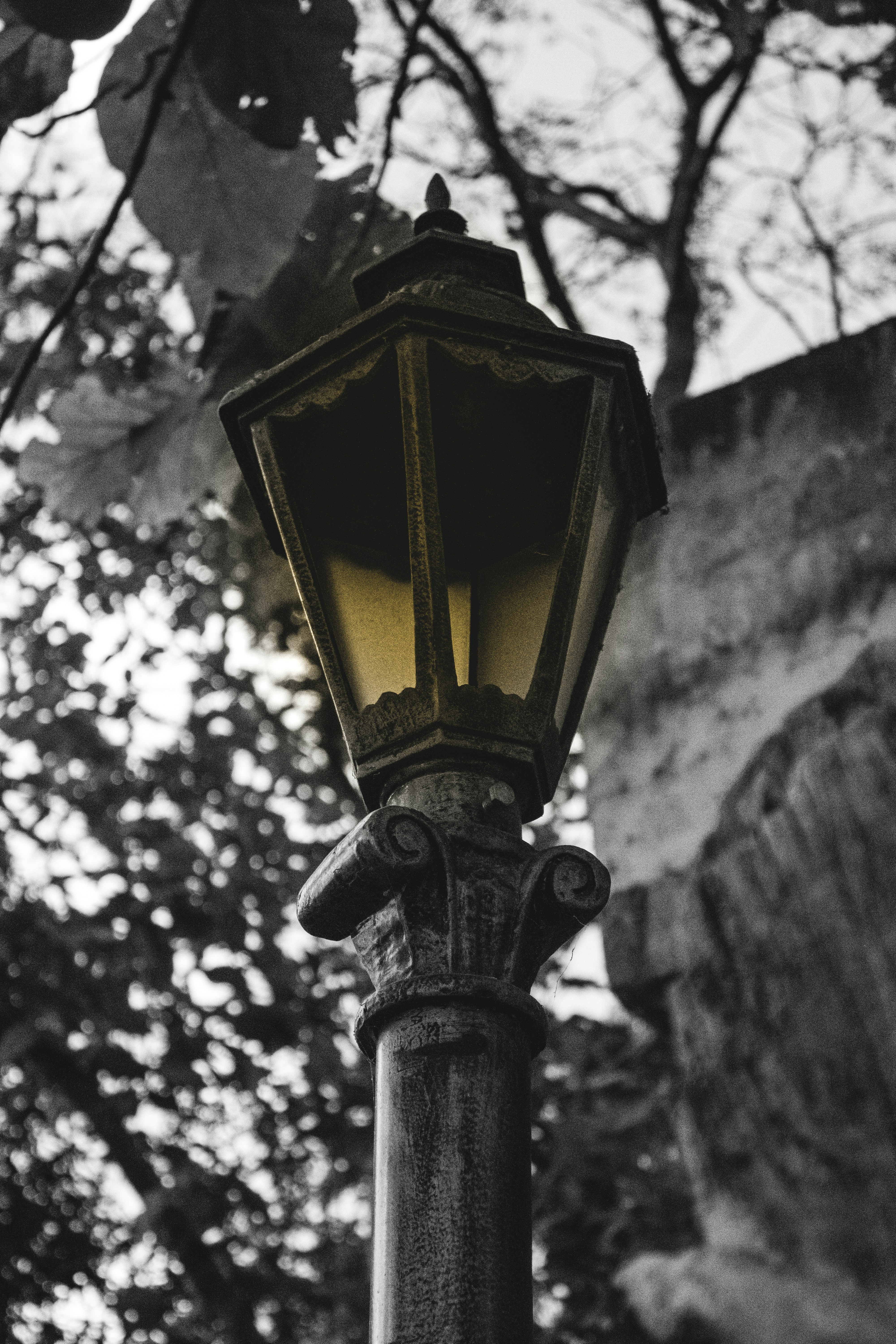 Photo by ____aka_dev0