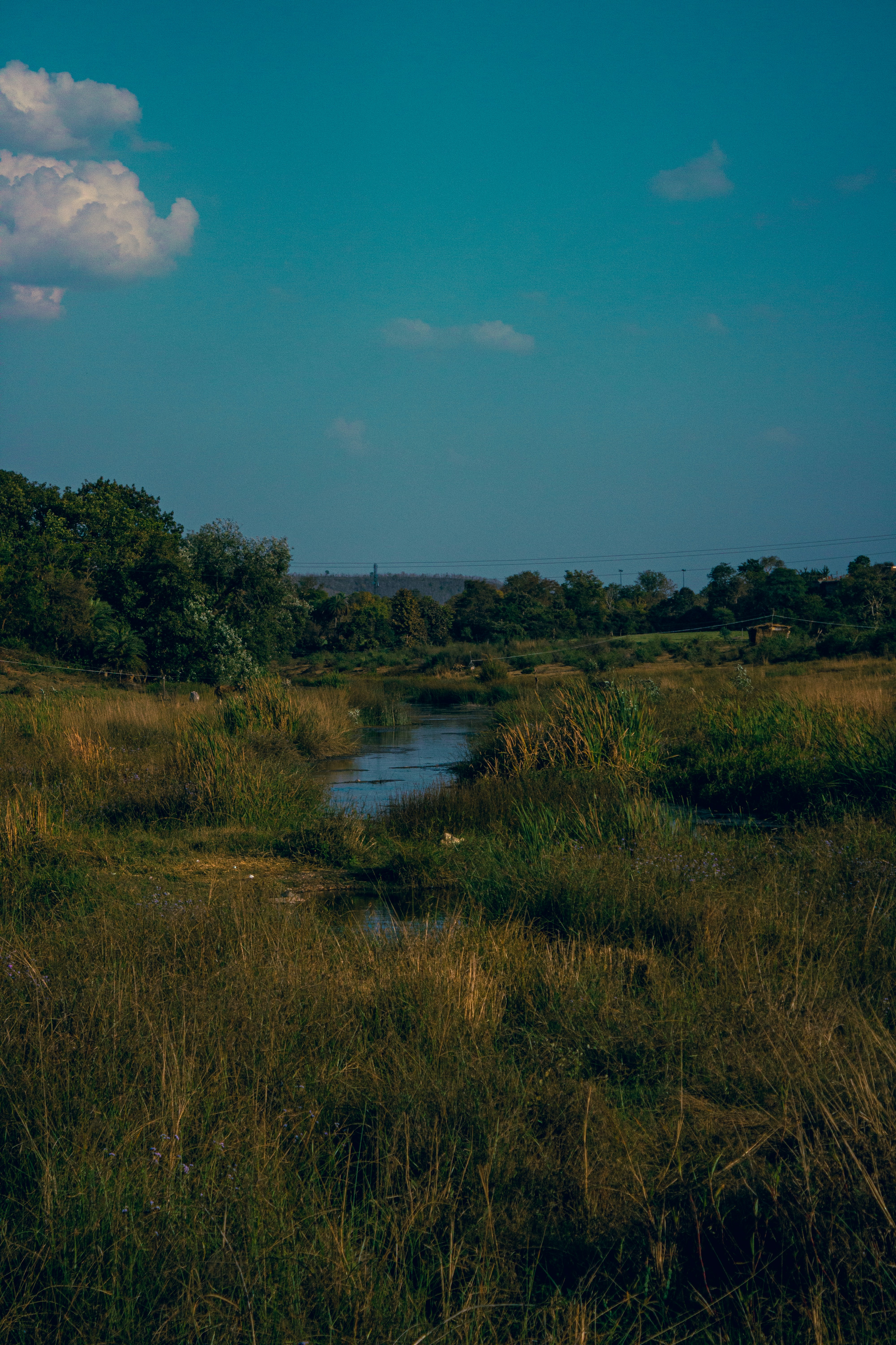 Photo by ____aka_dev0