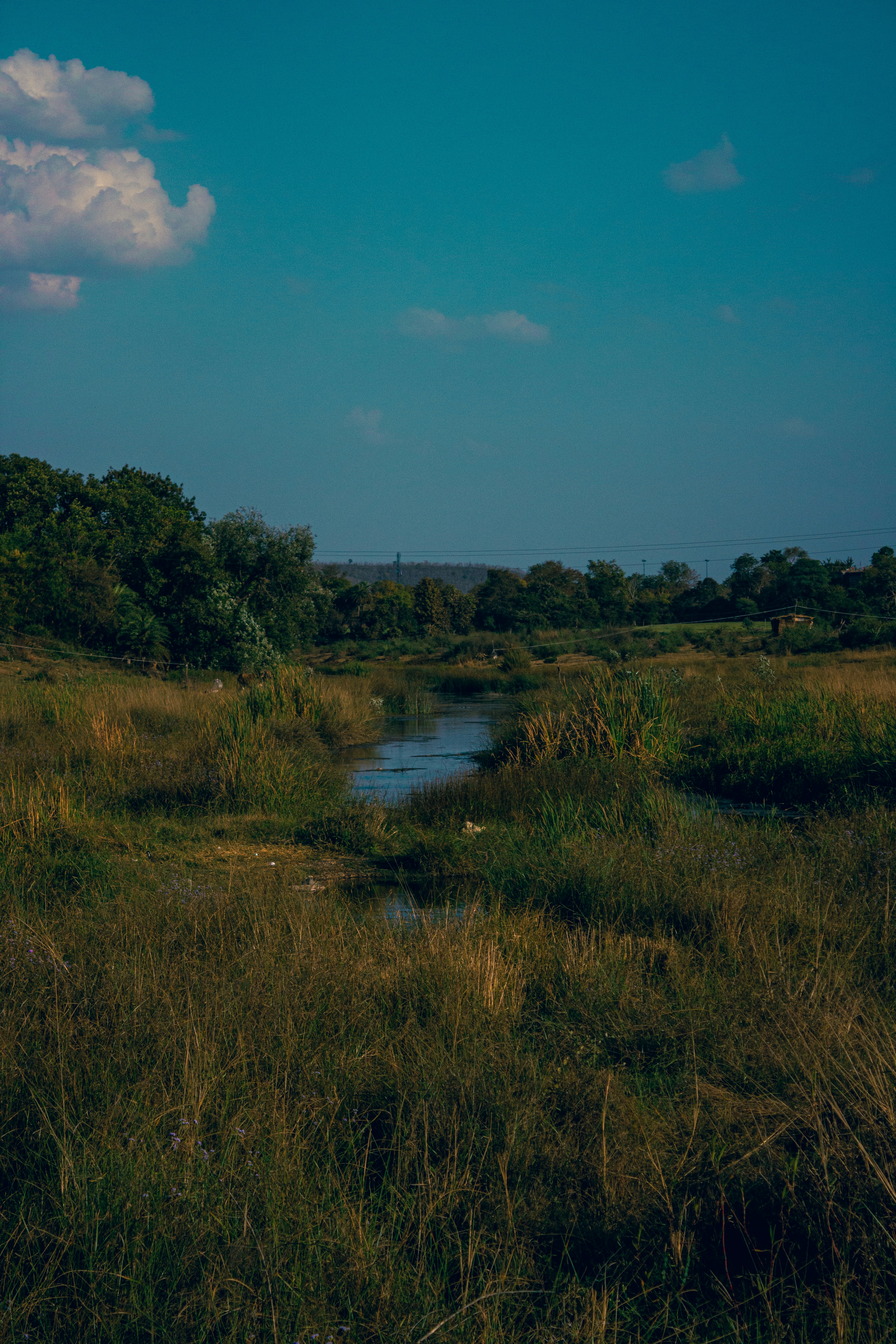 Photo by ____aka_dev0