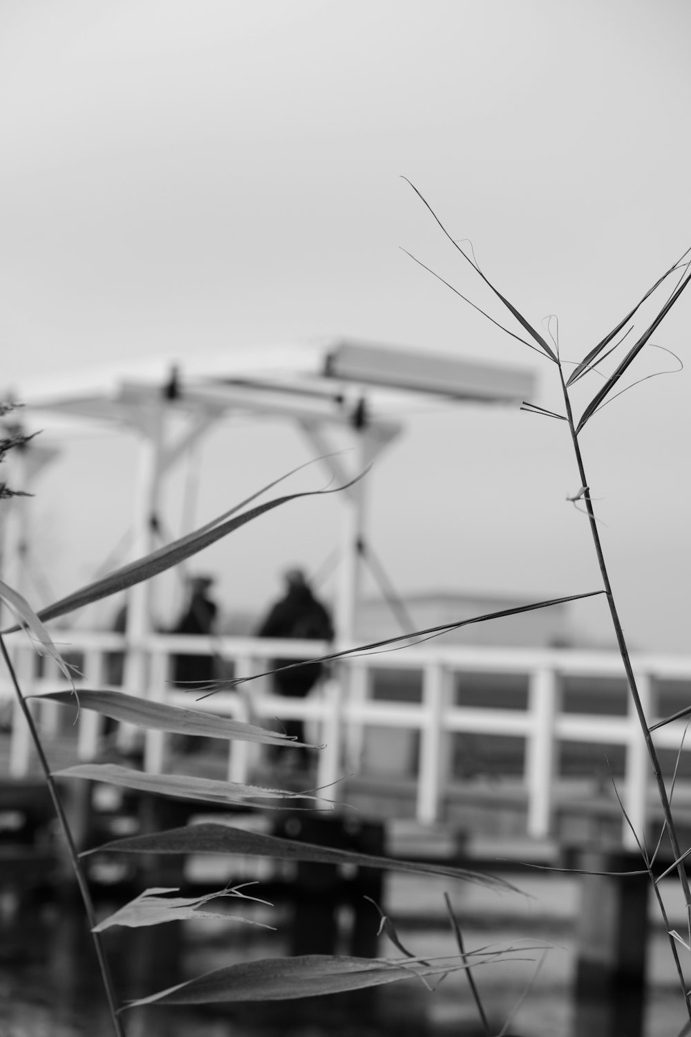 a black and white photo of a boat in the water