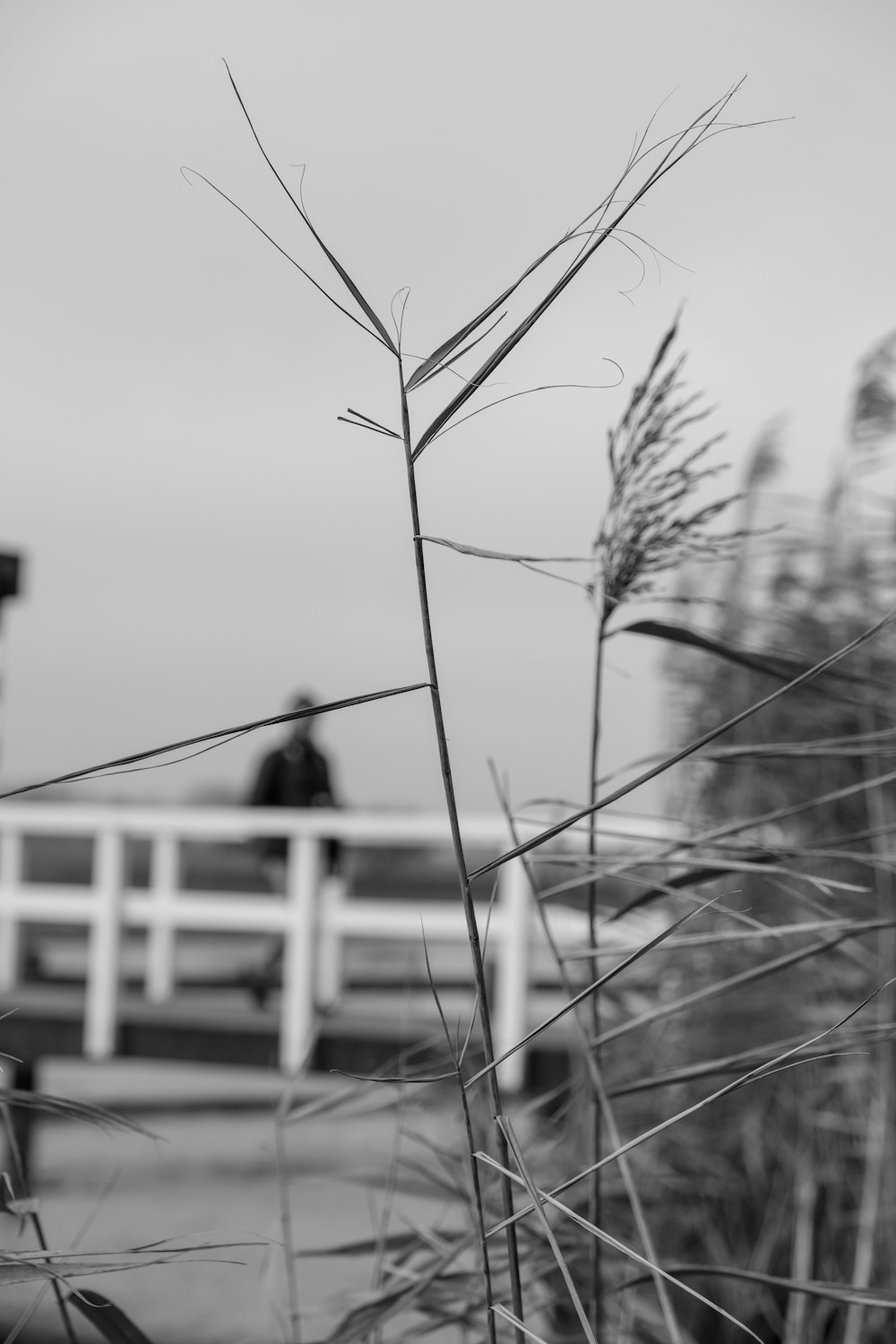 a black and white photo of a person sitting on a bench