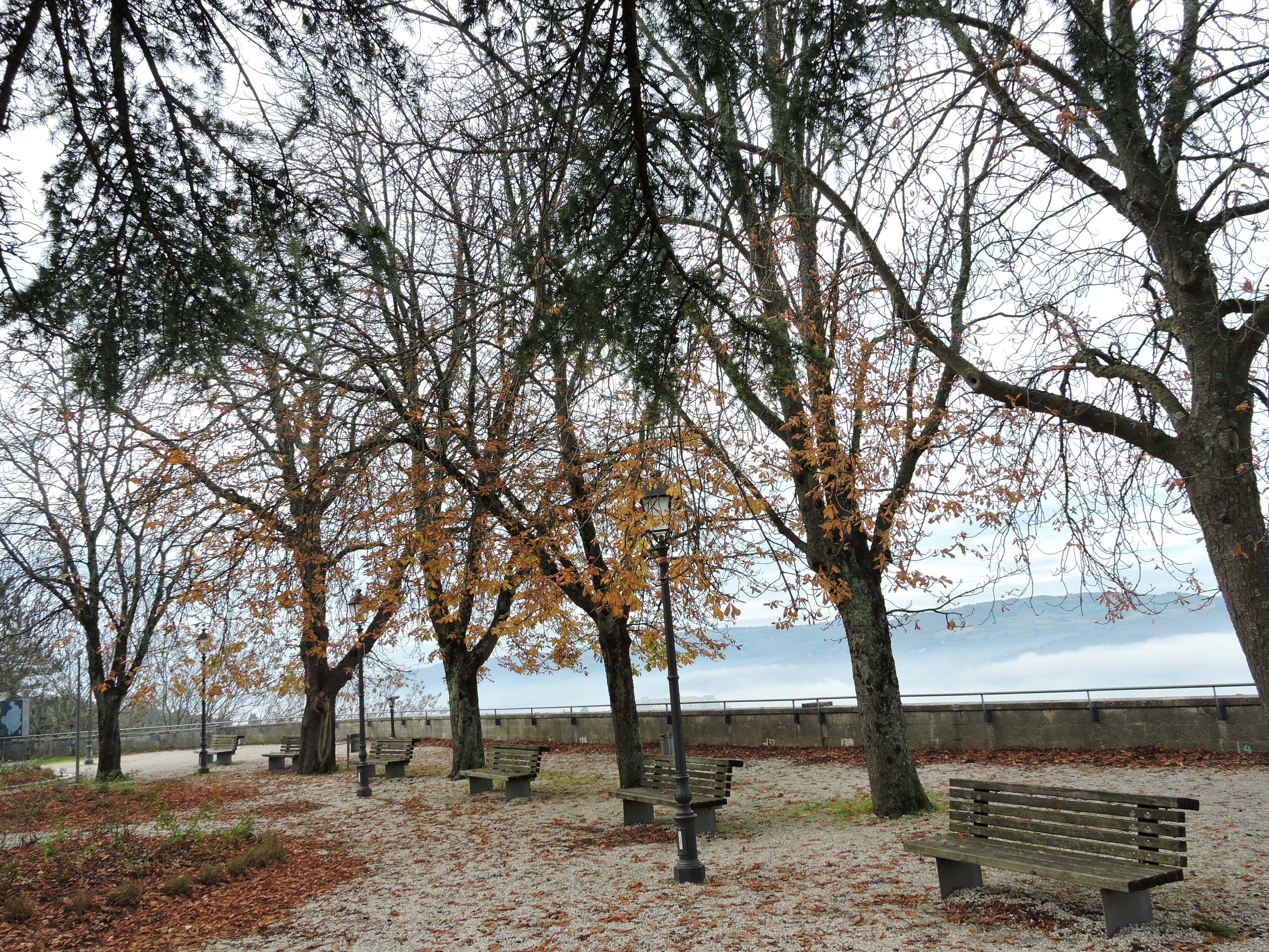 Image by Scarlett Delight via Unsplash