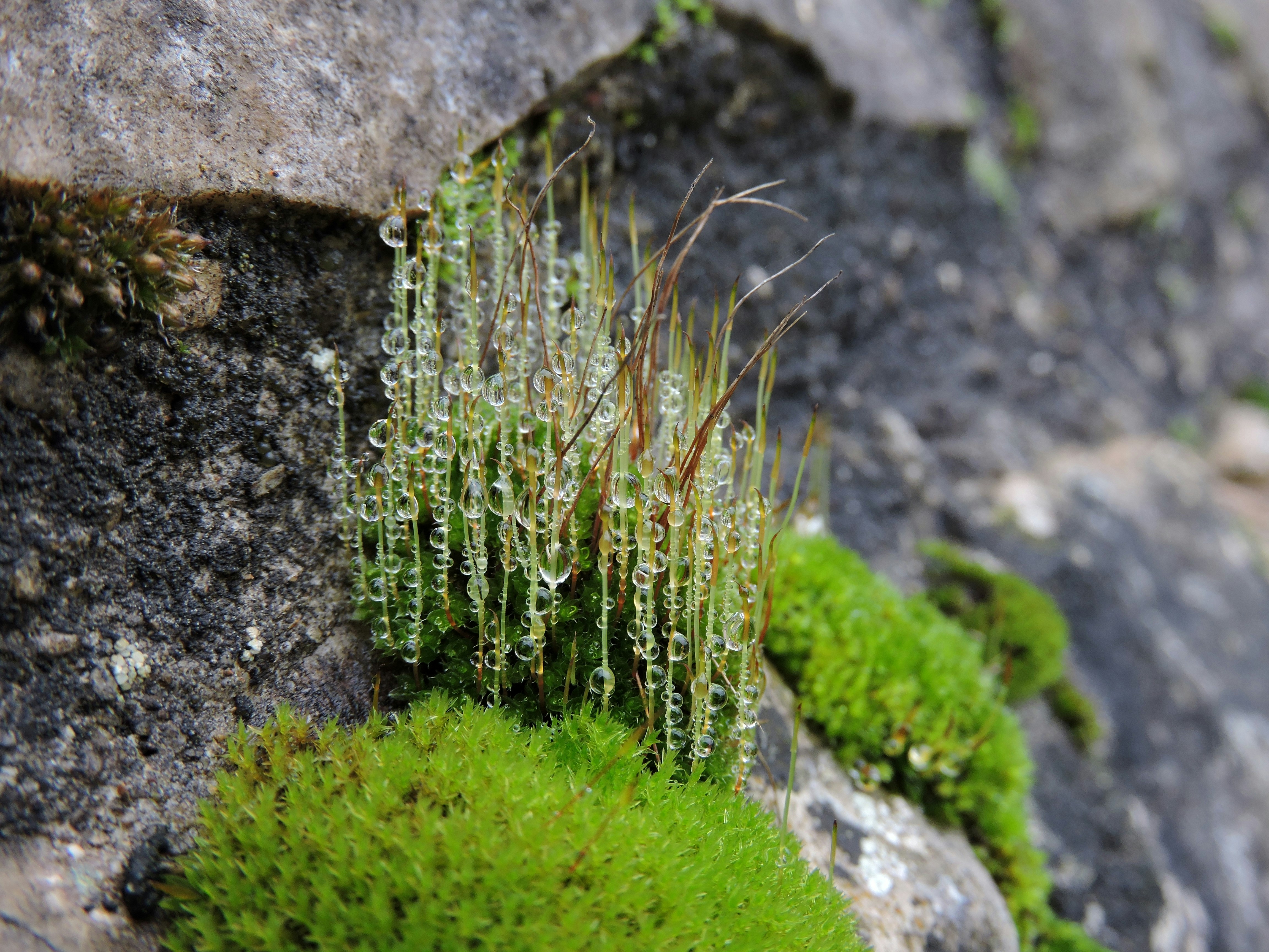 Photo by scarlettdelight