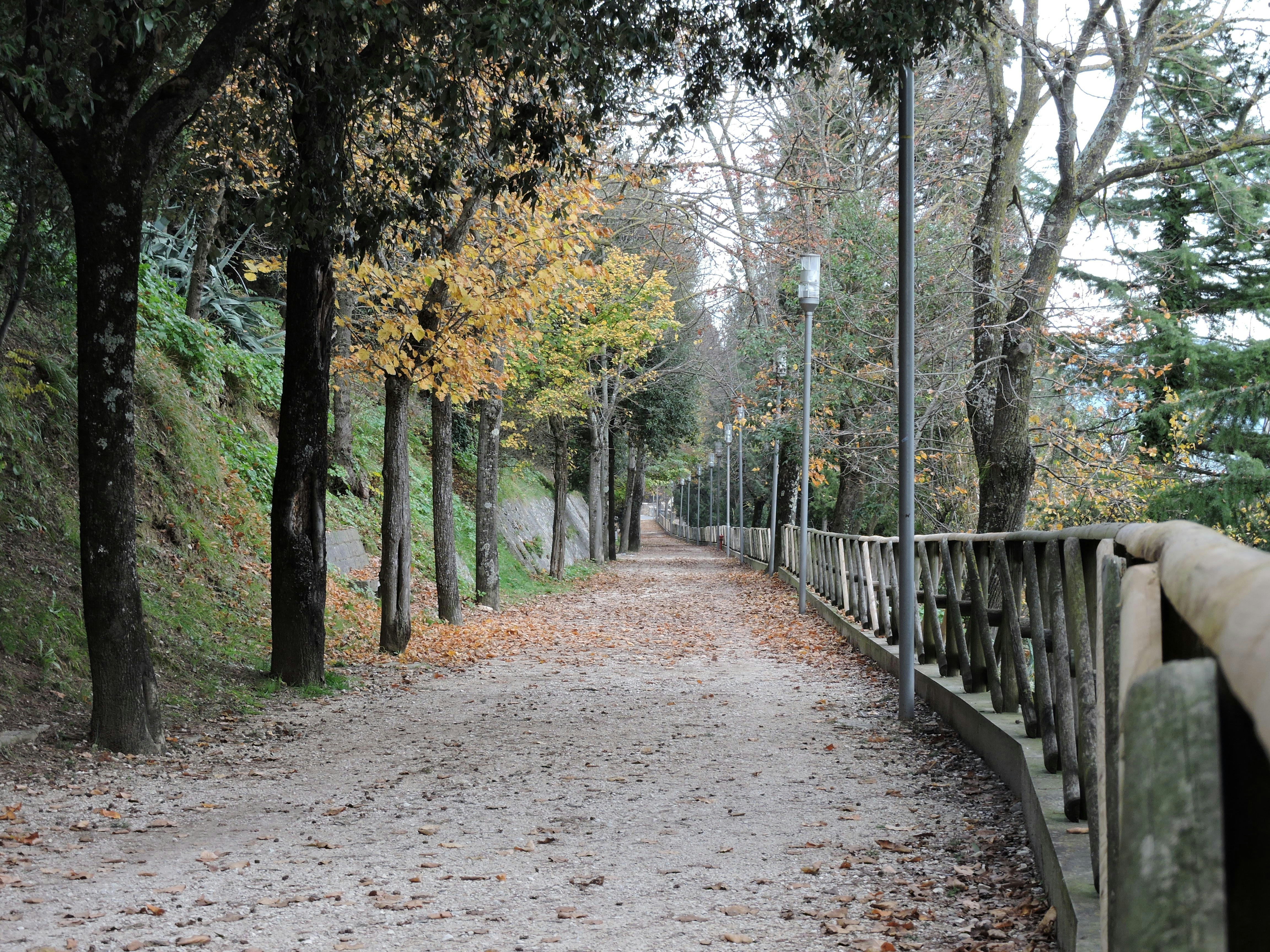 Photo by scarlettdelight