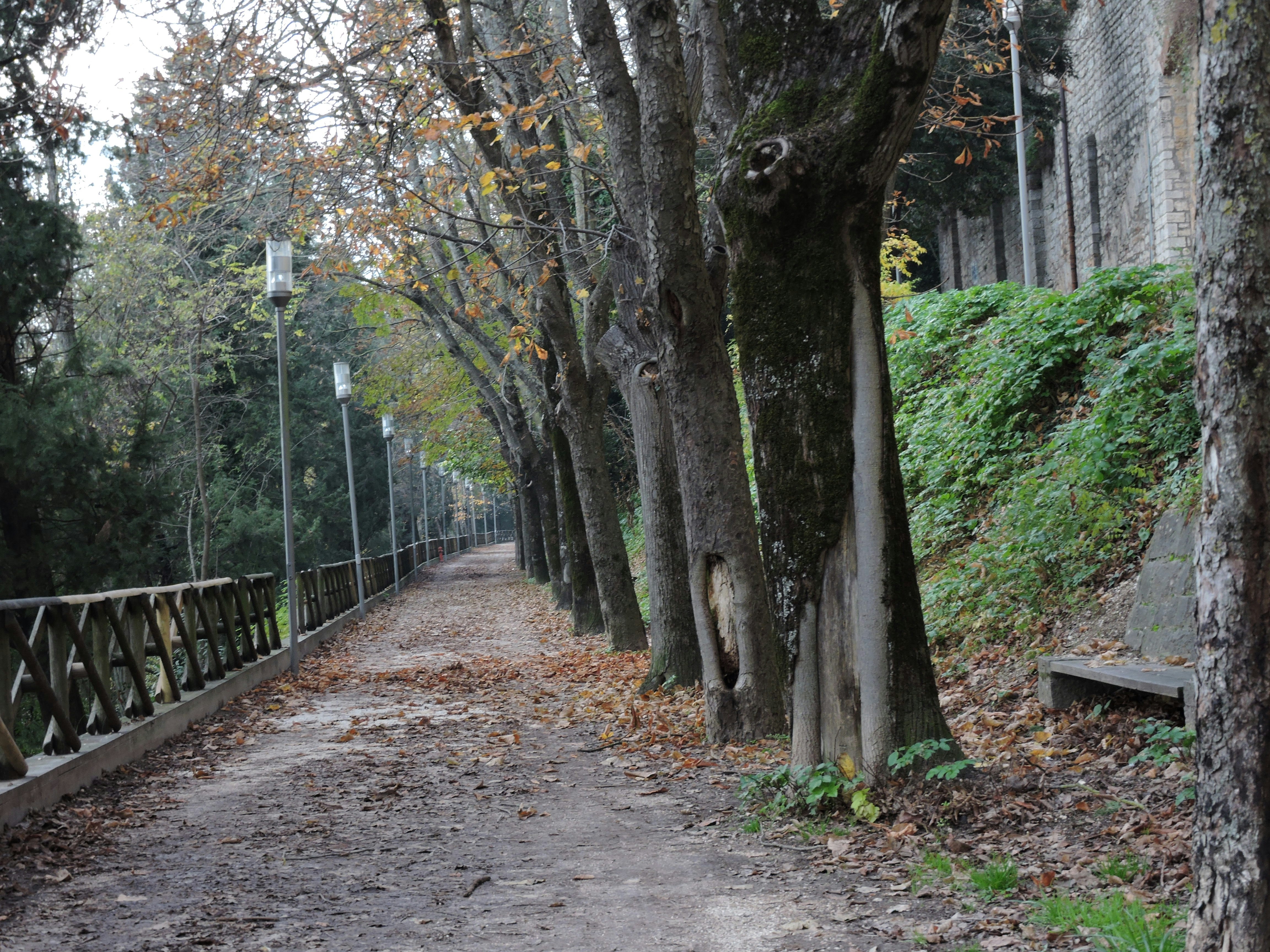 Photo by scarlettdelight