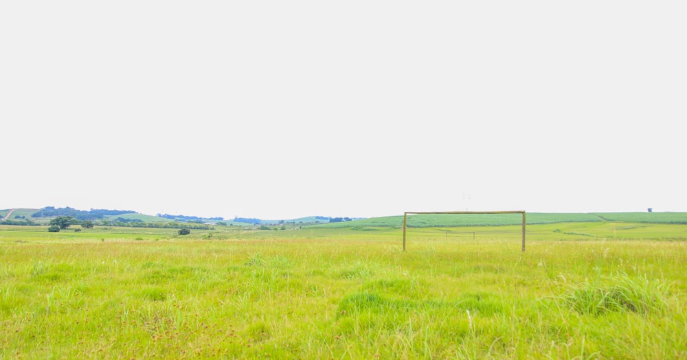 a soccer goal in the middle of a grassy field