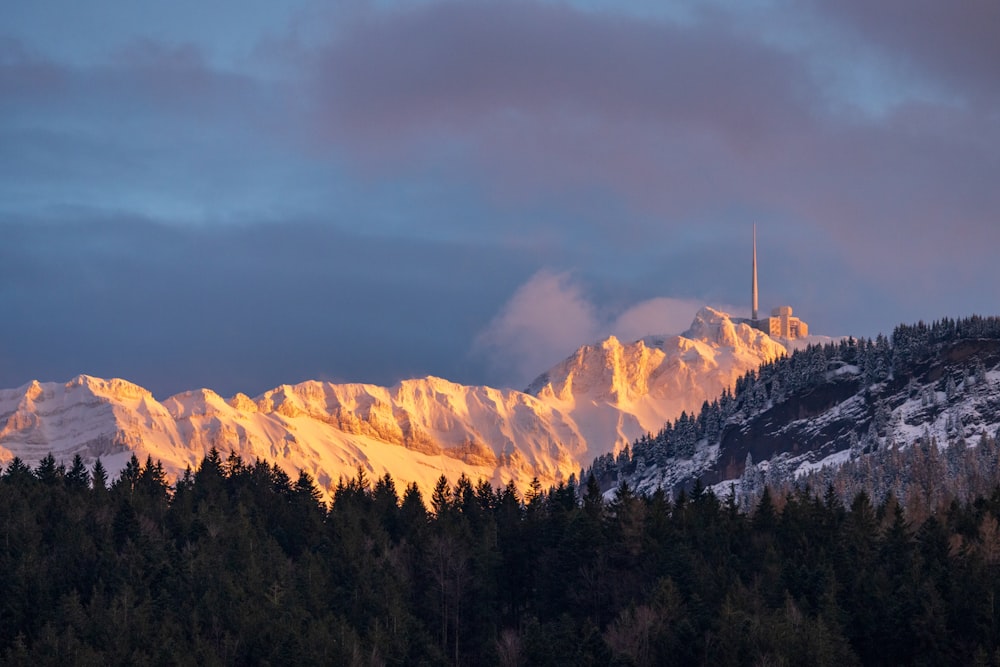 une montagne enneigée à côté d’une forêt