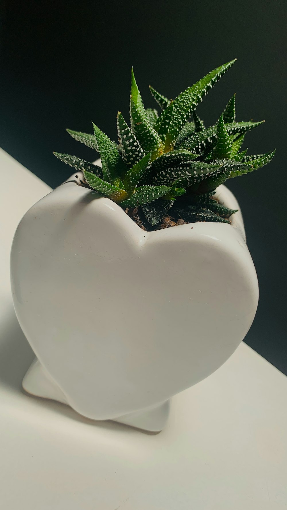 a white heart shaped planter with a succulent in it