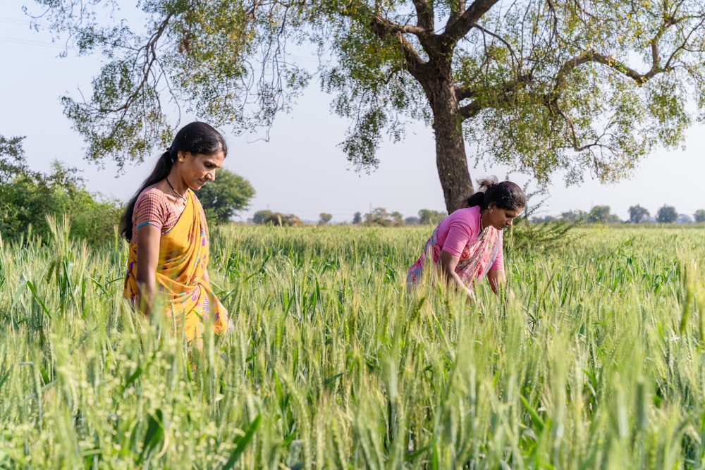 a couple of women standing in a lush green field