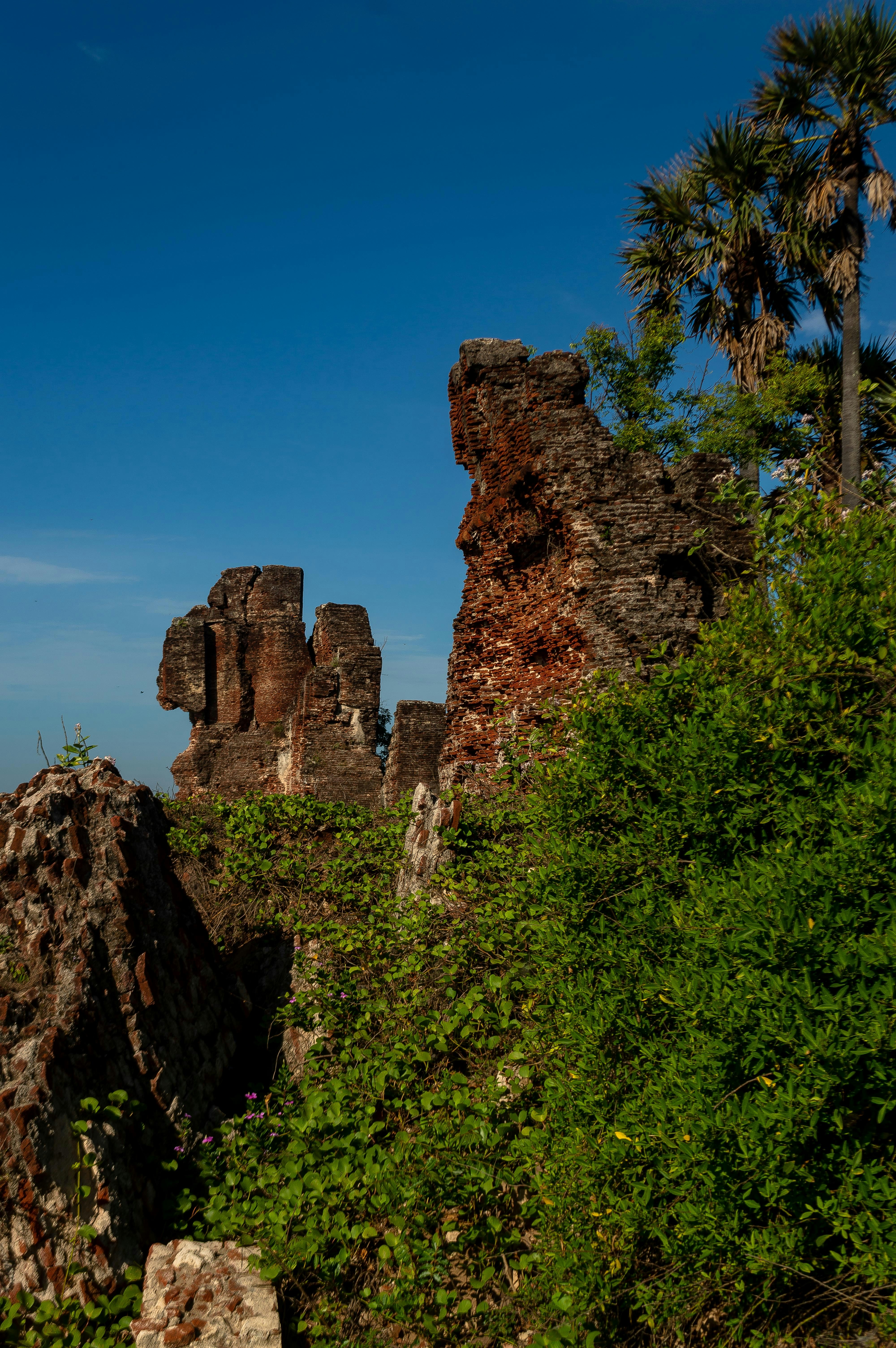 a large rock formation in the middle of a forest