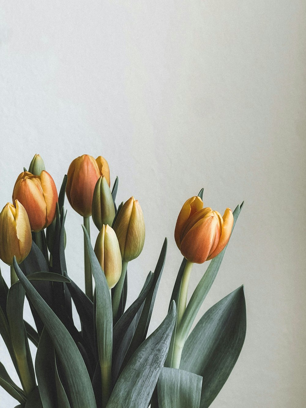 a vase filled with yellow and orange flowers