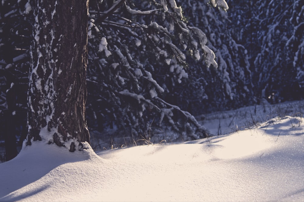 a man riding a snowboard down a snow covered slope