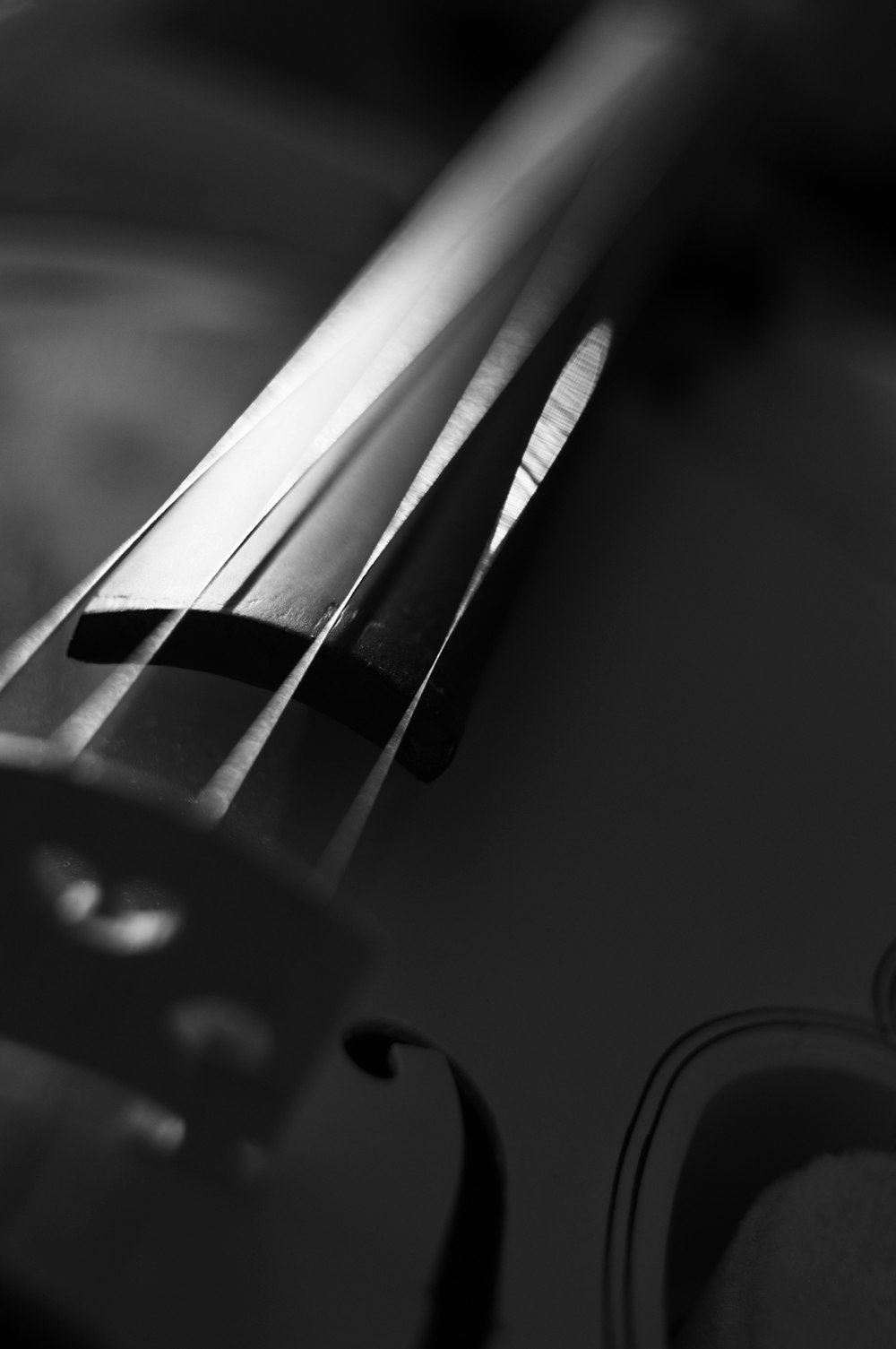 a black and white photo of a violin