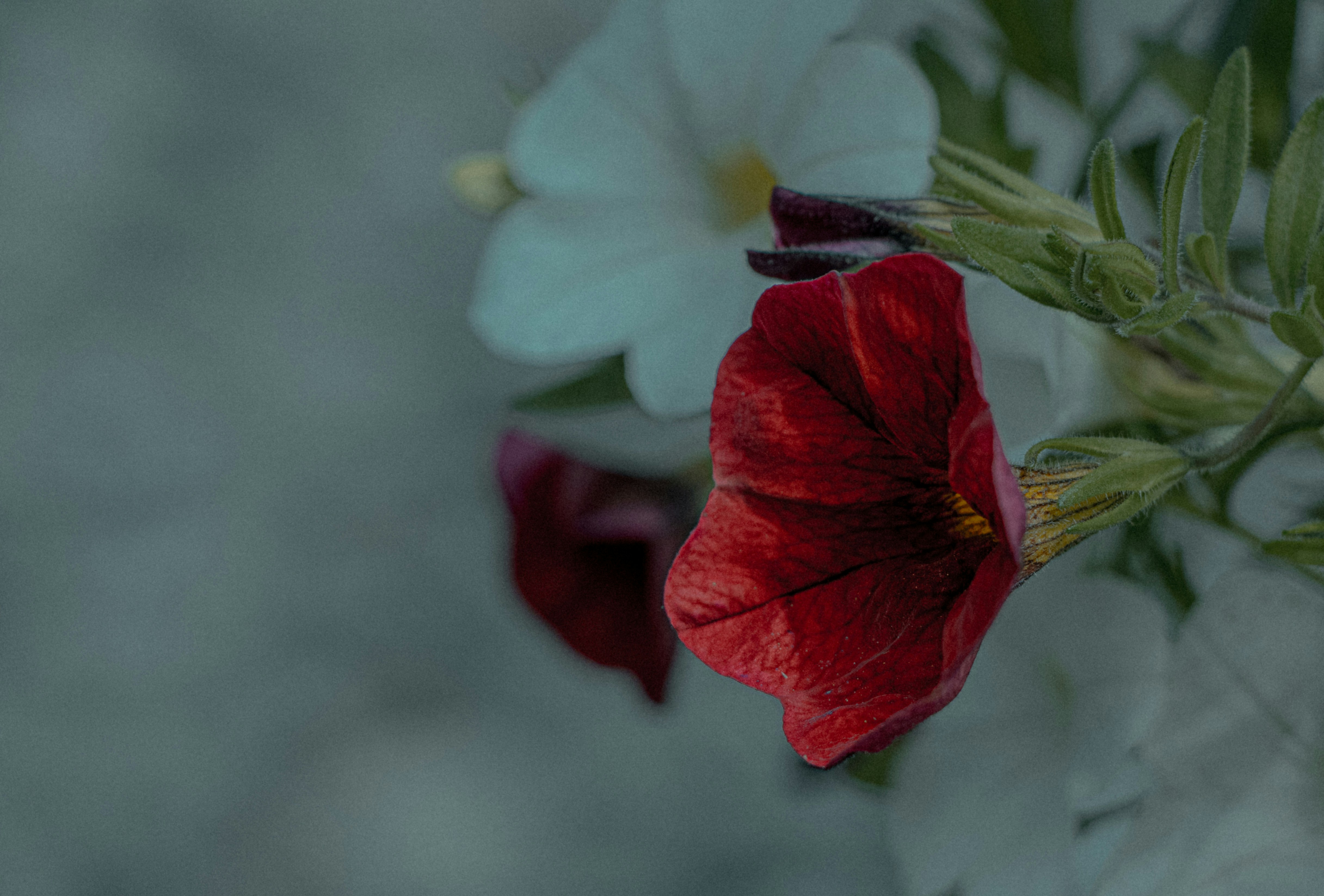 Photo by jaspervandam