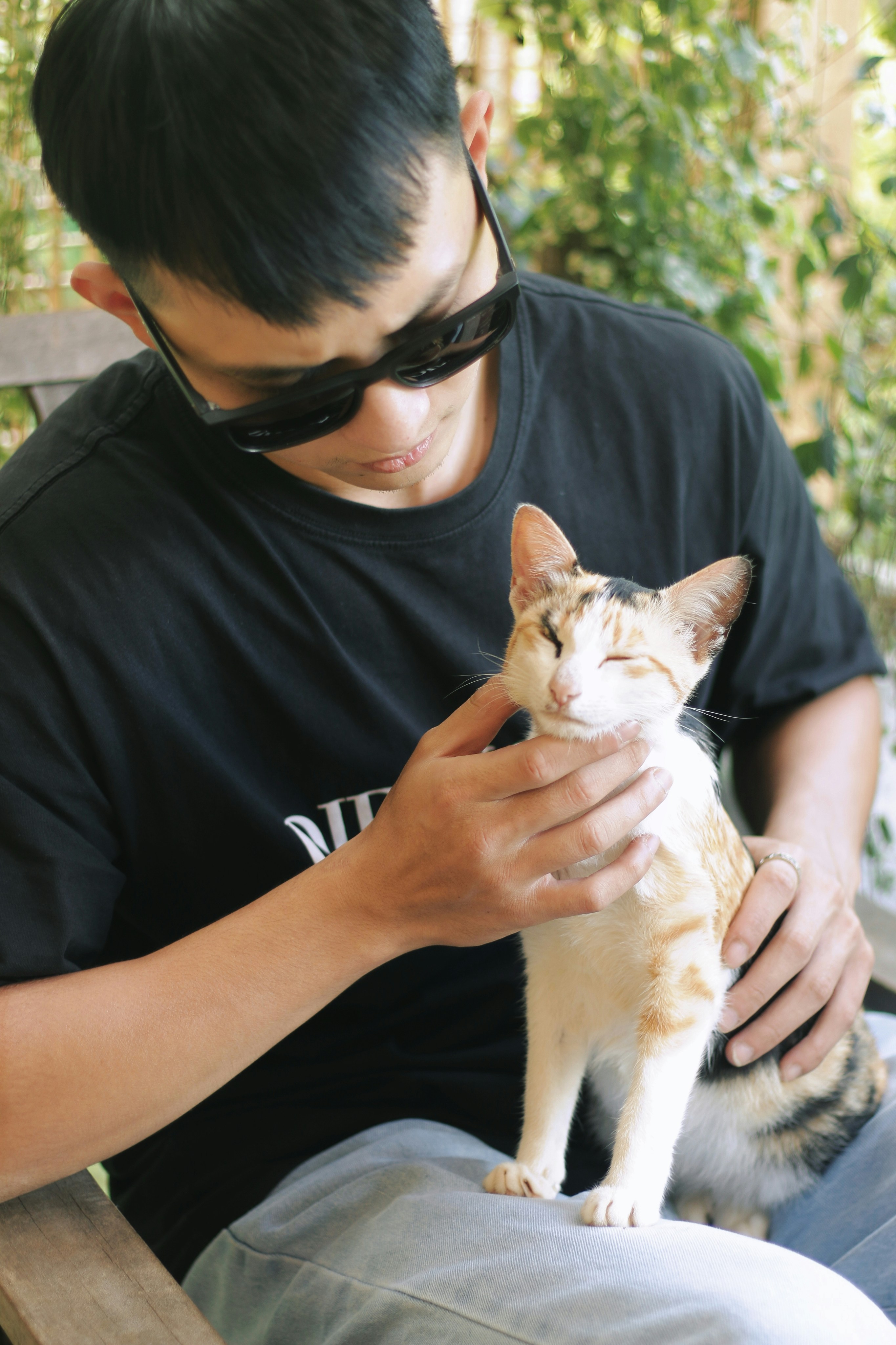 The Vet Visit: When to Worry (image credits: unsplash)