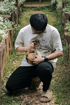 animal recueilli