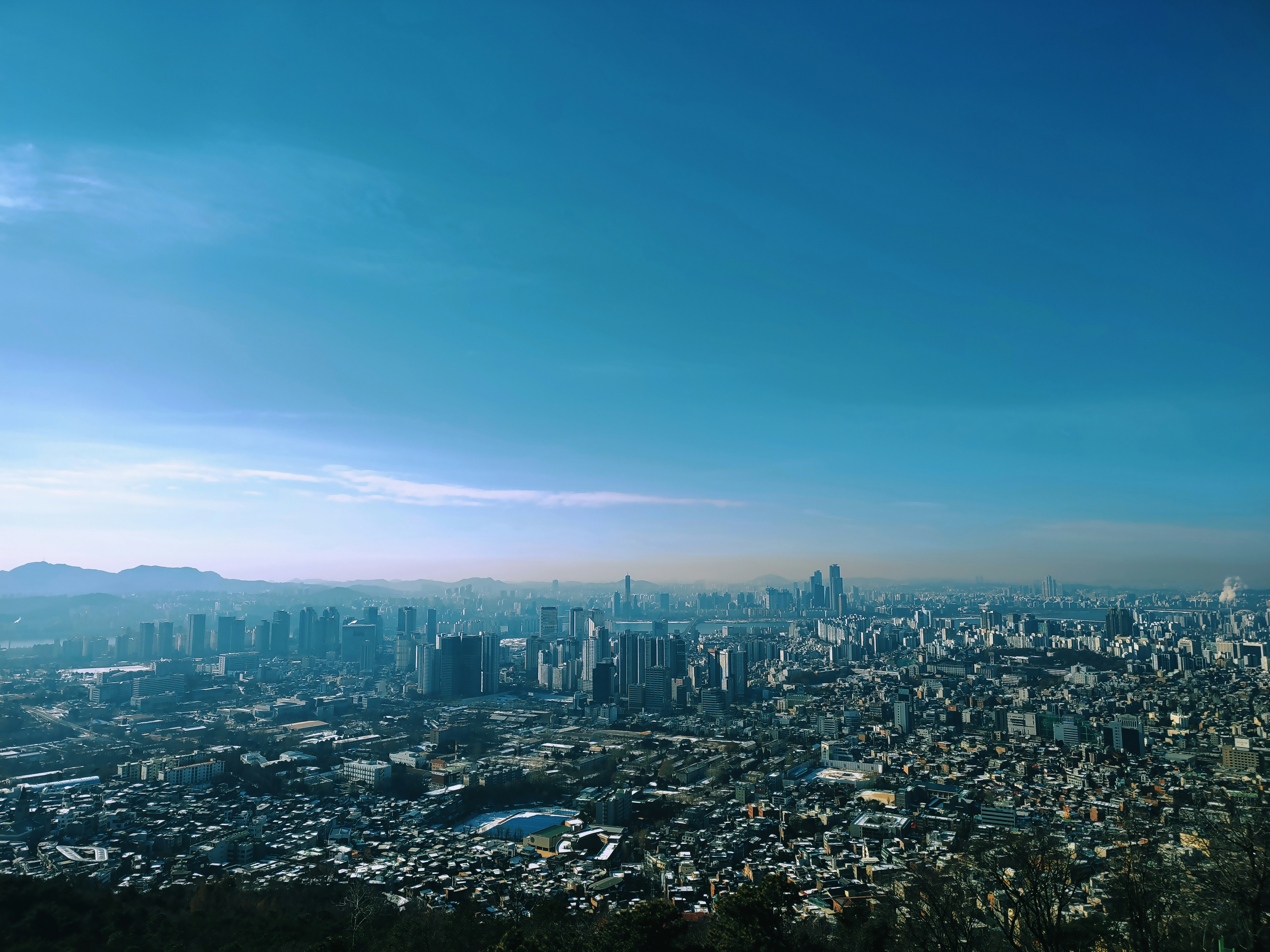 Photo by dxaxoxfz