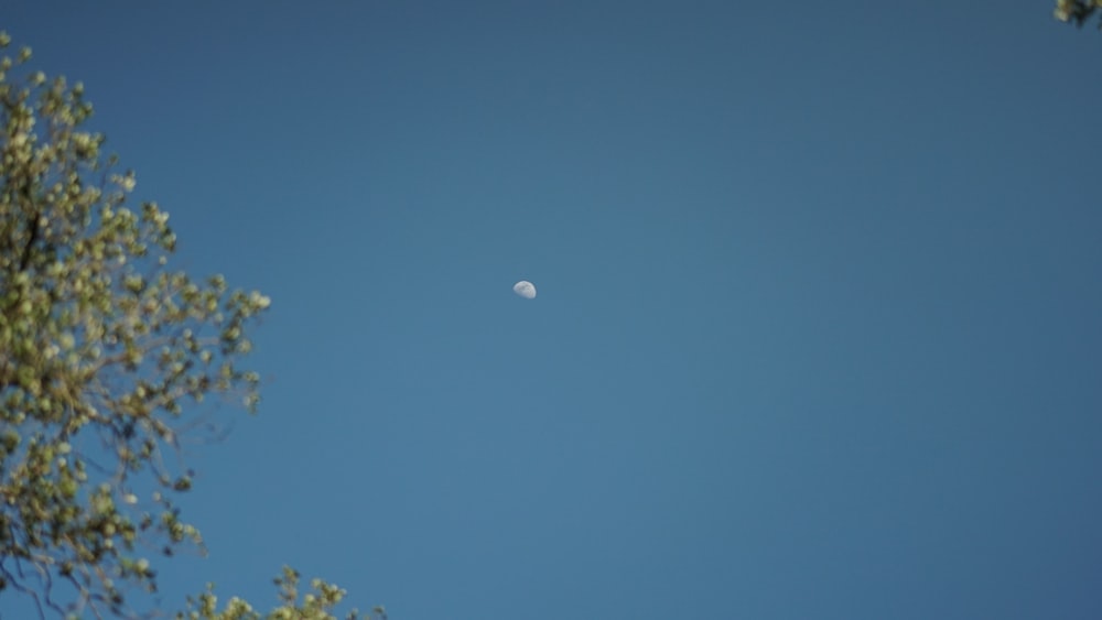 a clear blue sky with a half moon in the distance