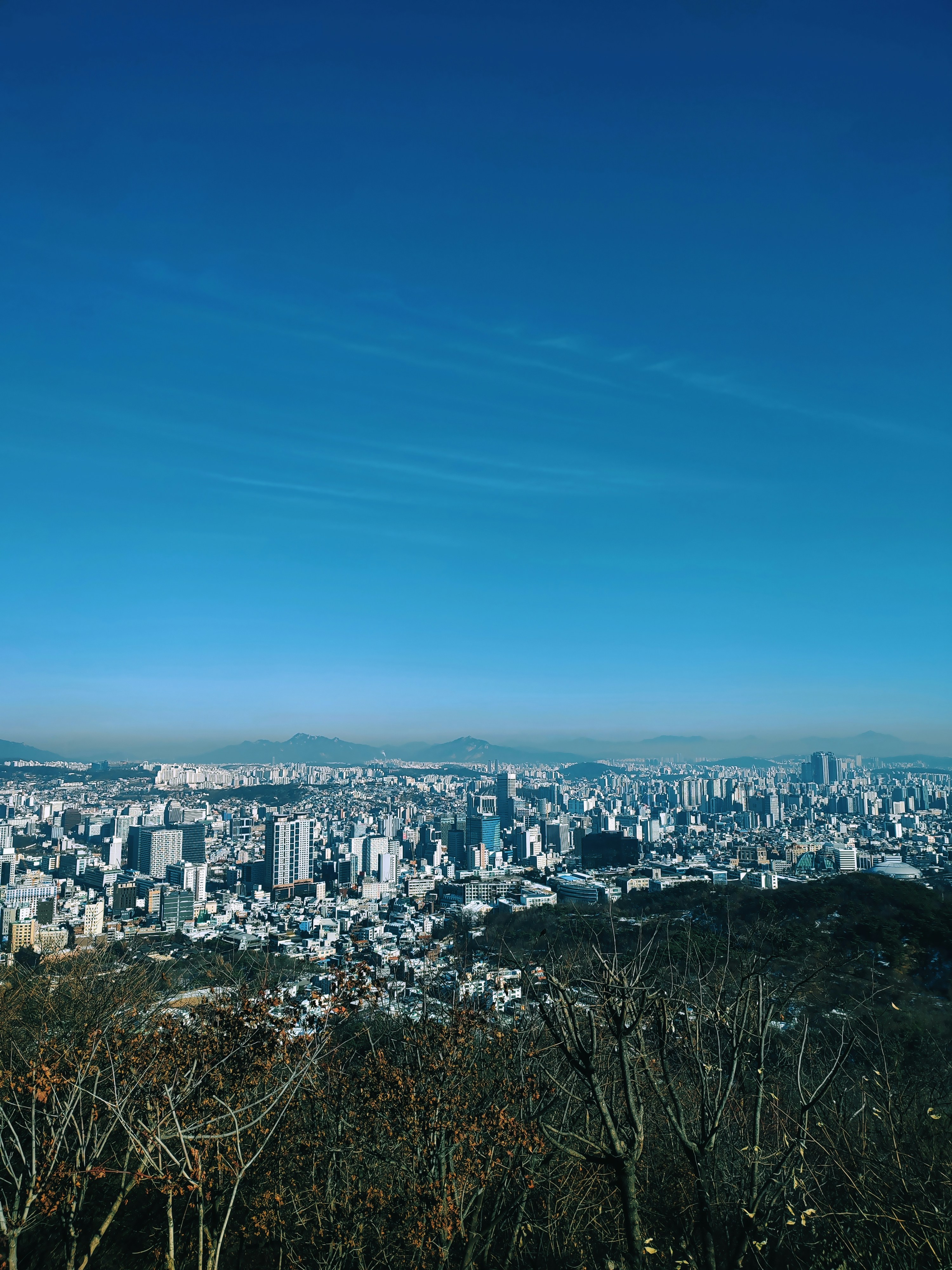 Photo by dxaxoxfz