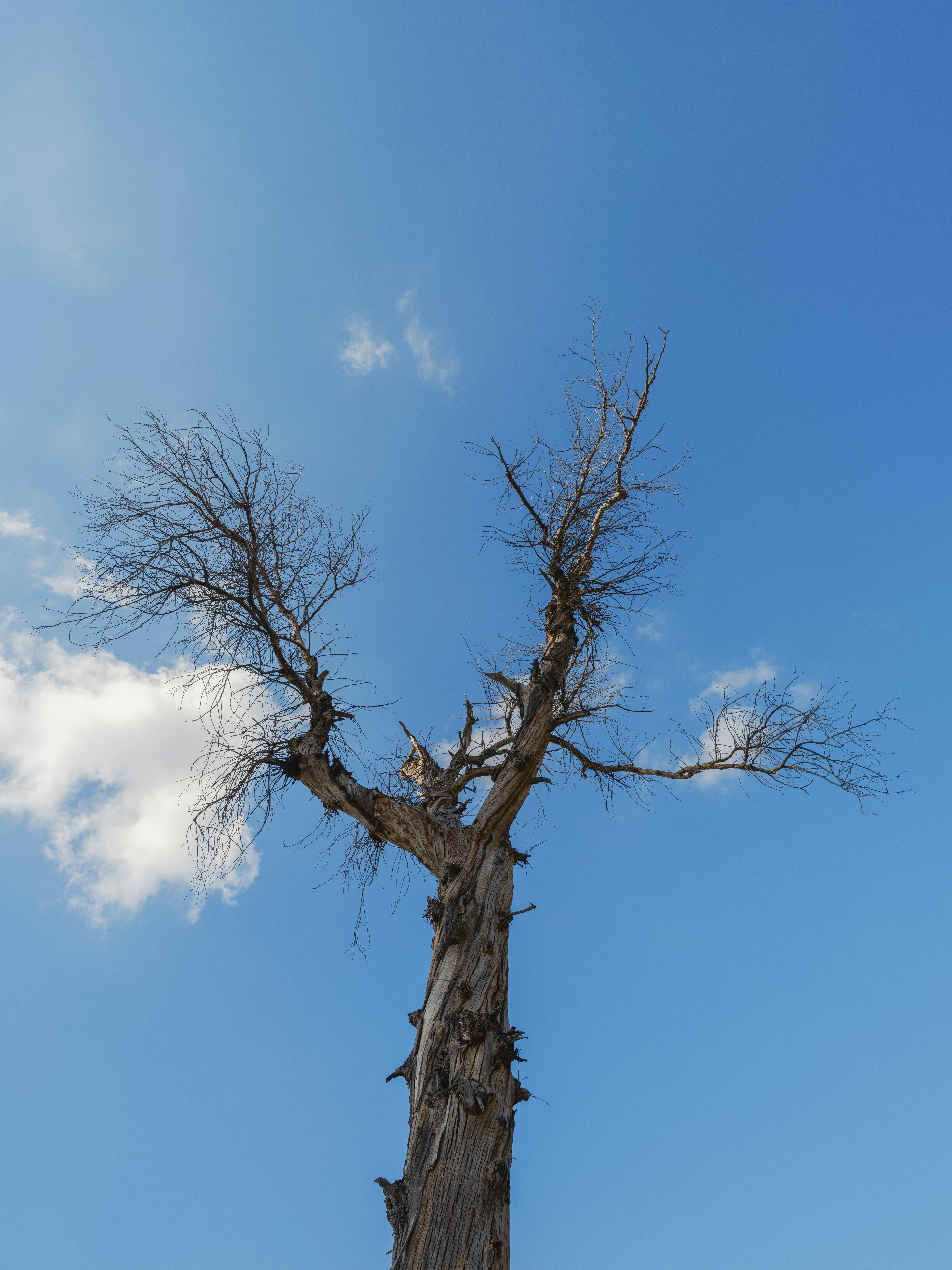 Photo by enginakyurt