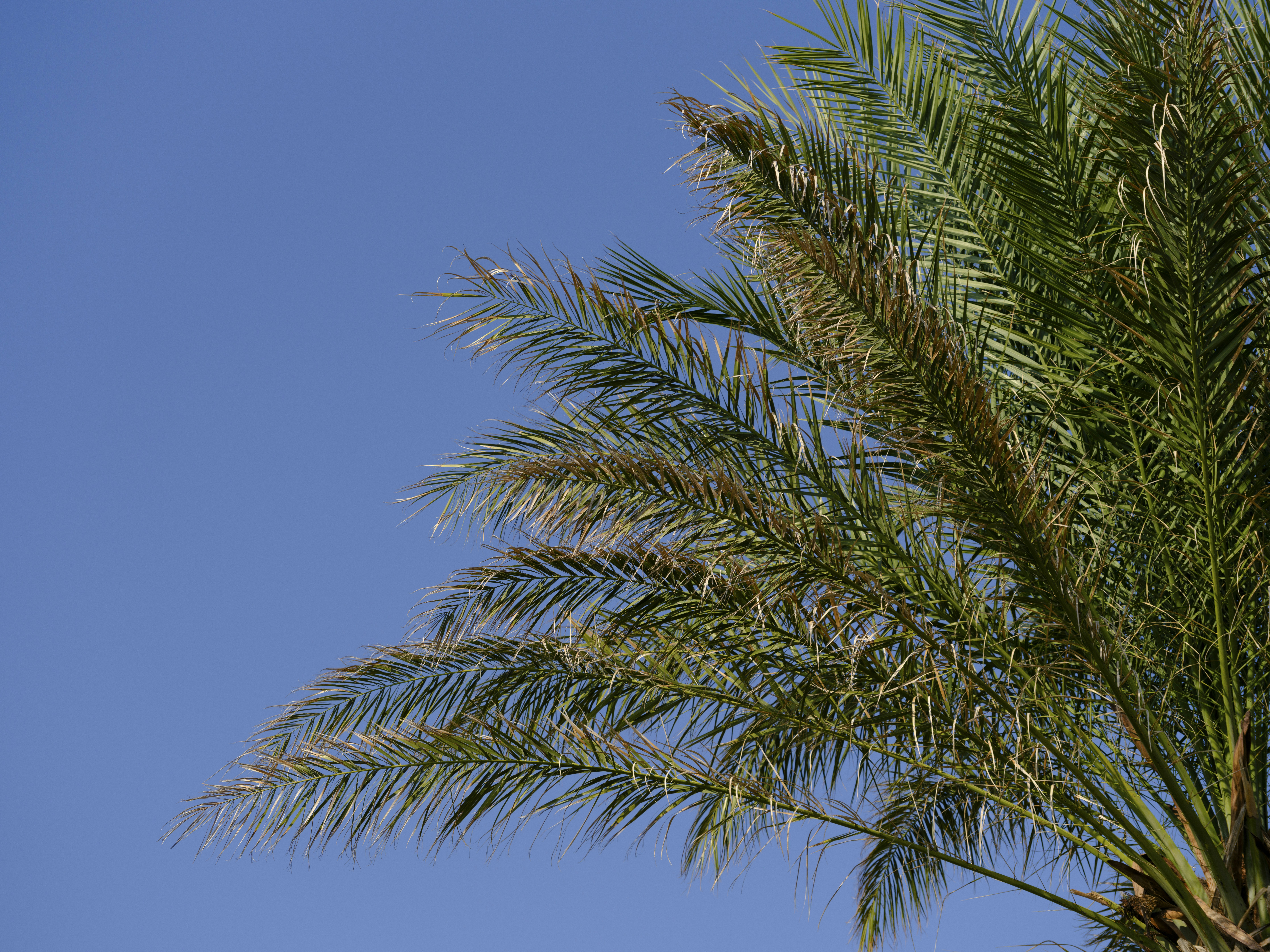 Photo by enginakyurt