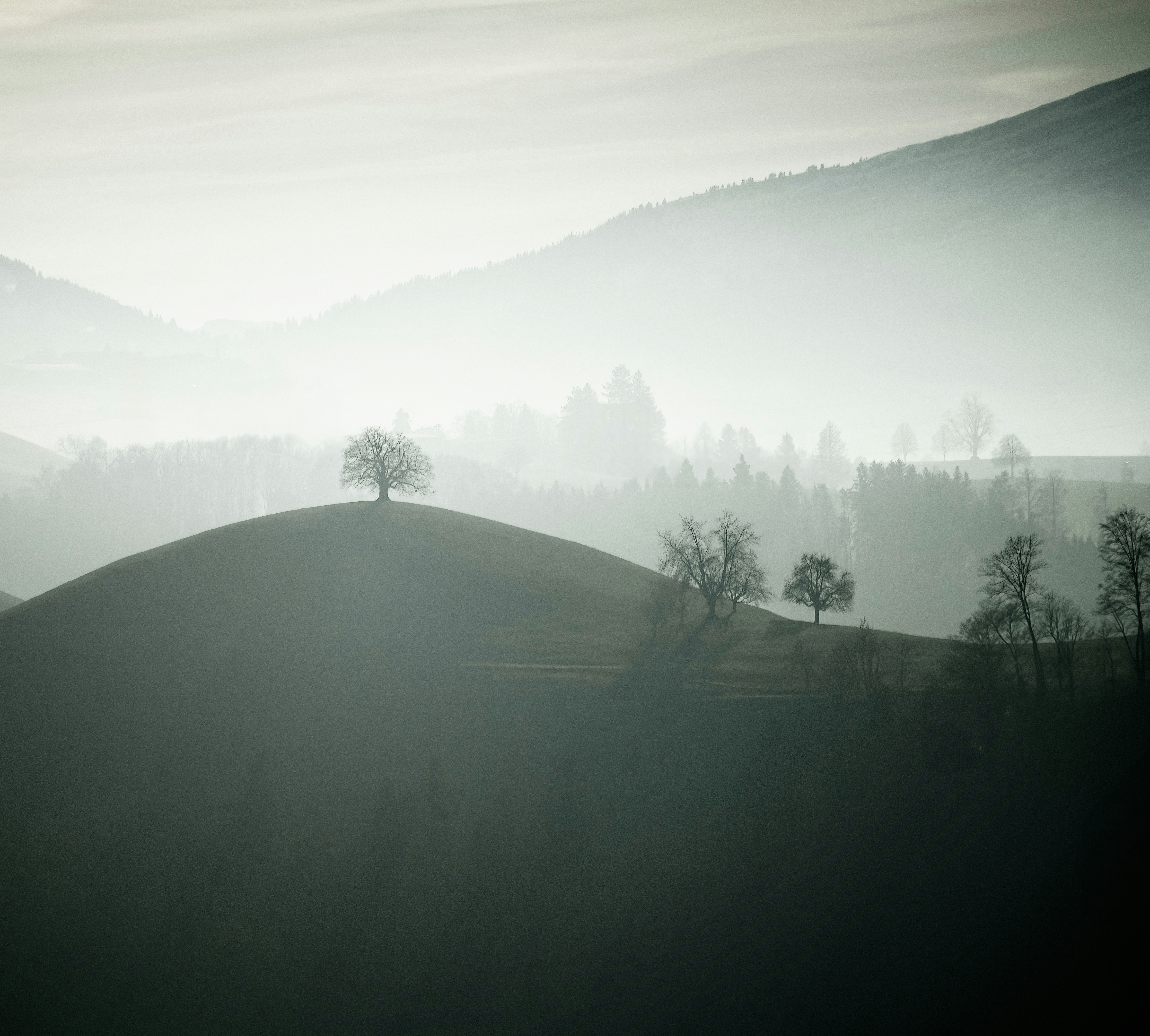 Photo by rgaleriacom