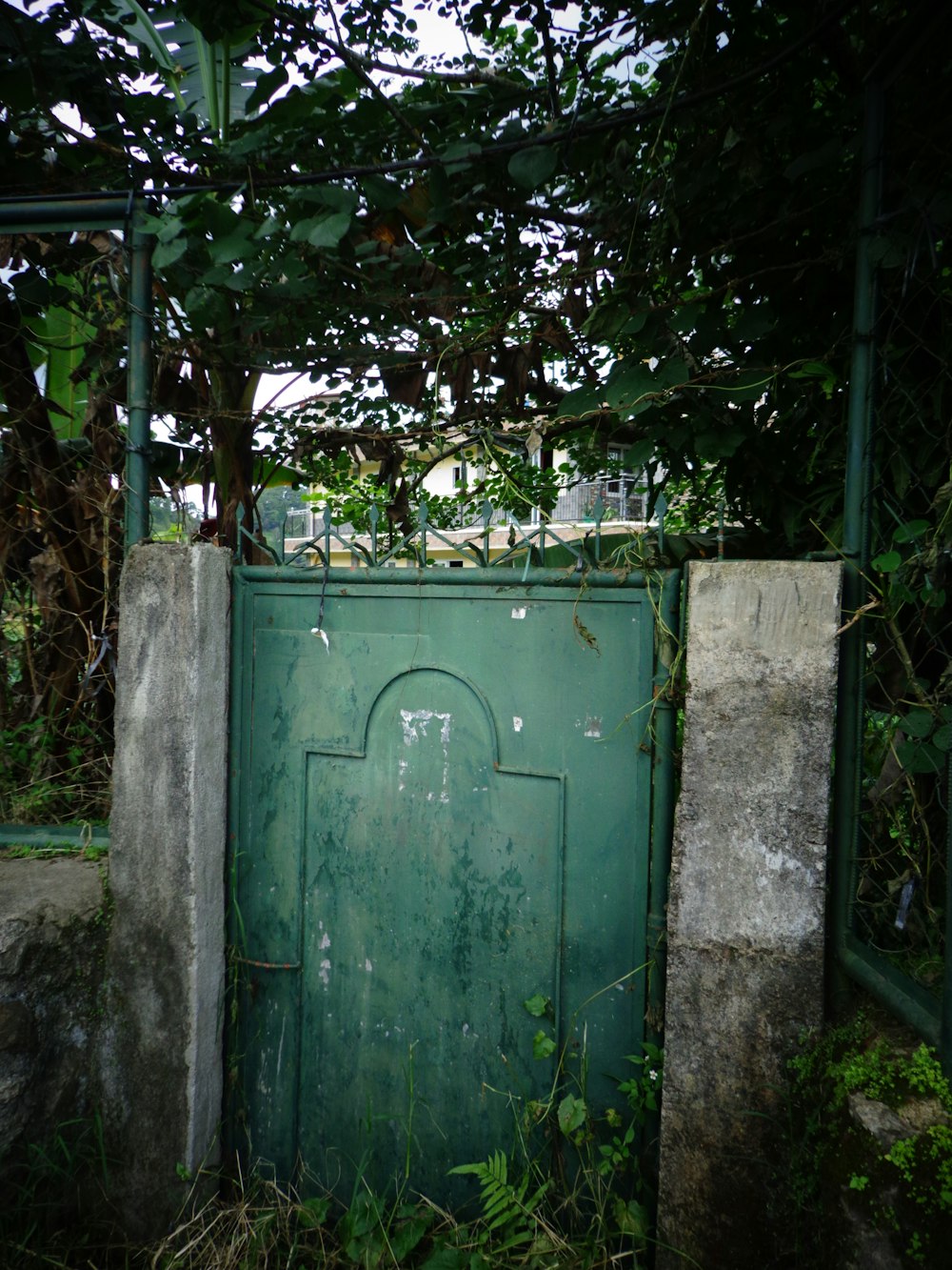 a green door in the middle of a forest
