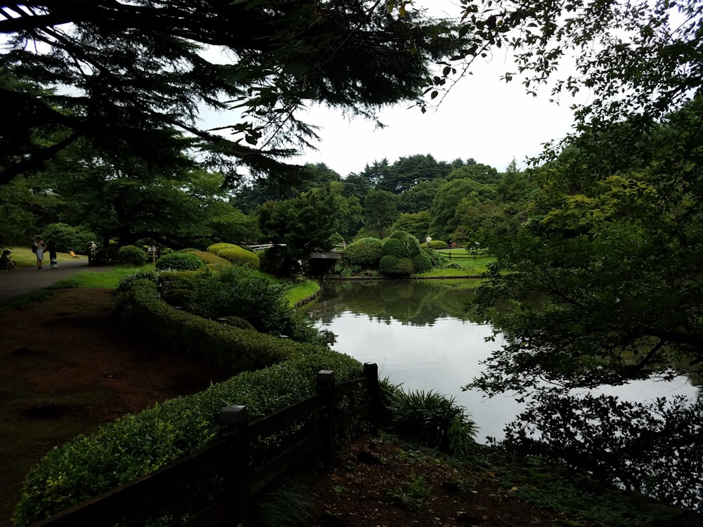 a pond surrounded by trees and bushes in a park