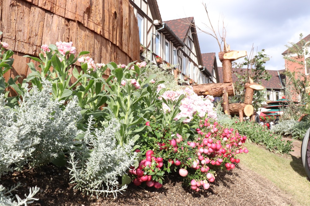 a bunch of flowers that are by a building