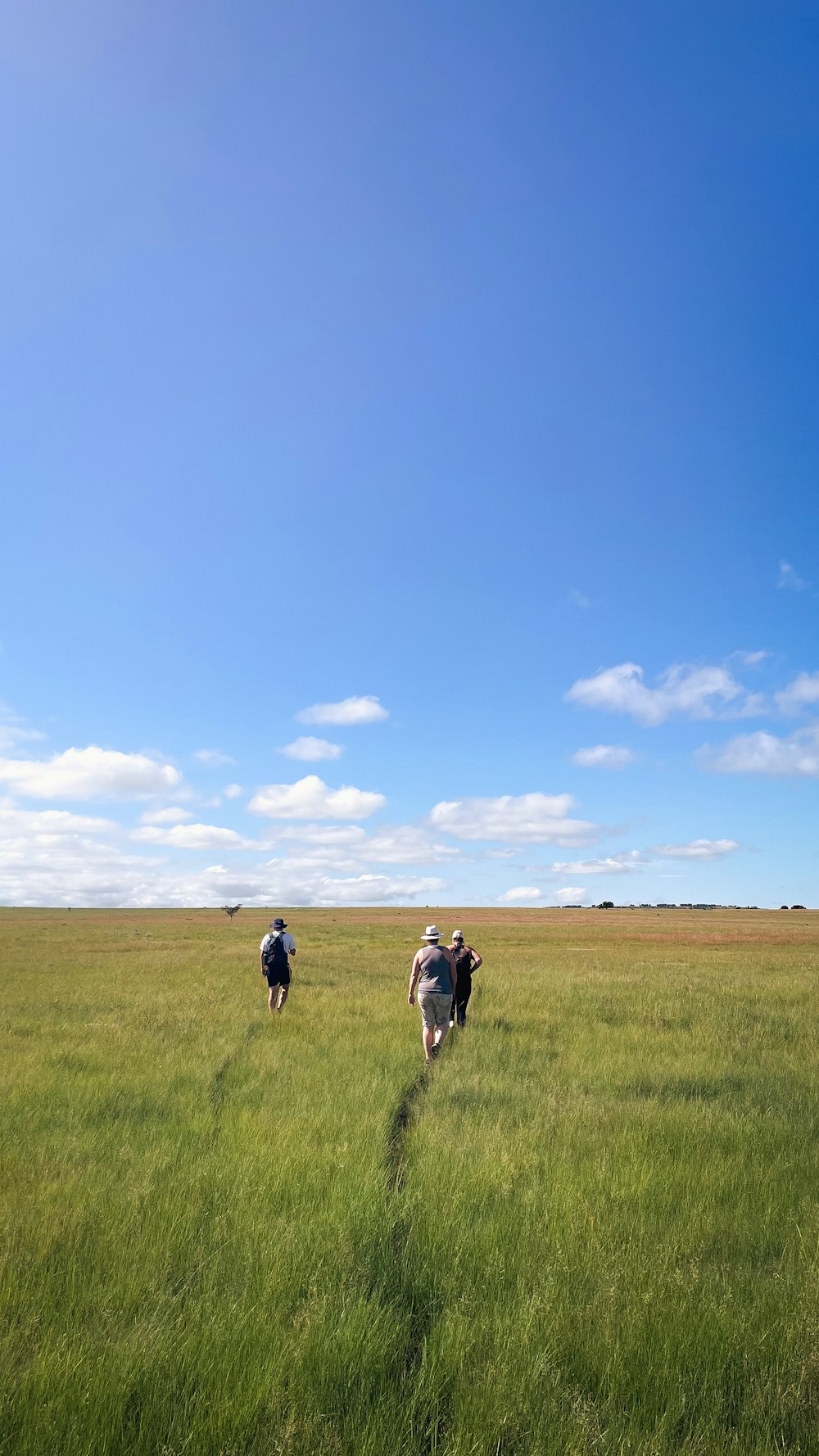 a couple of people walking across a lush green field