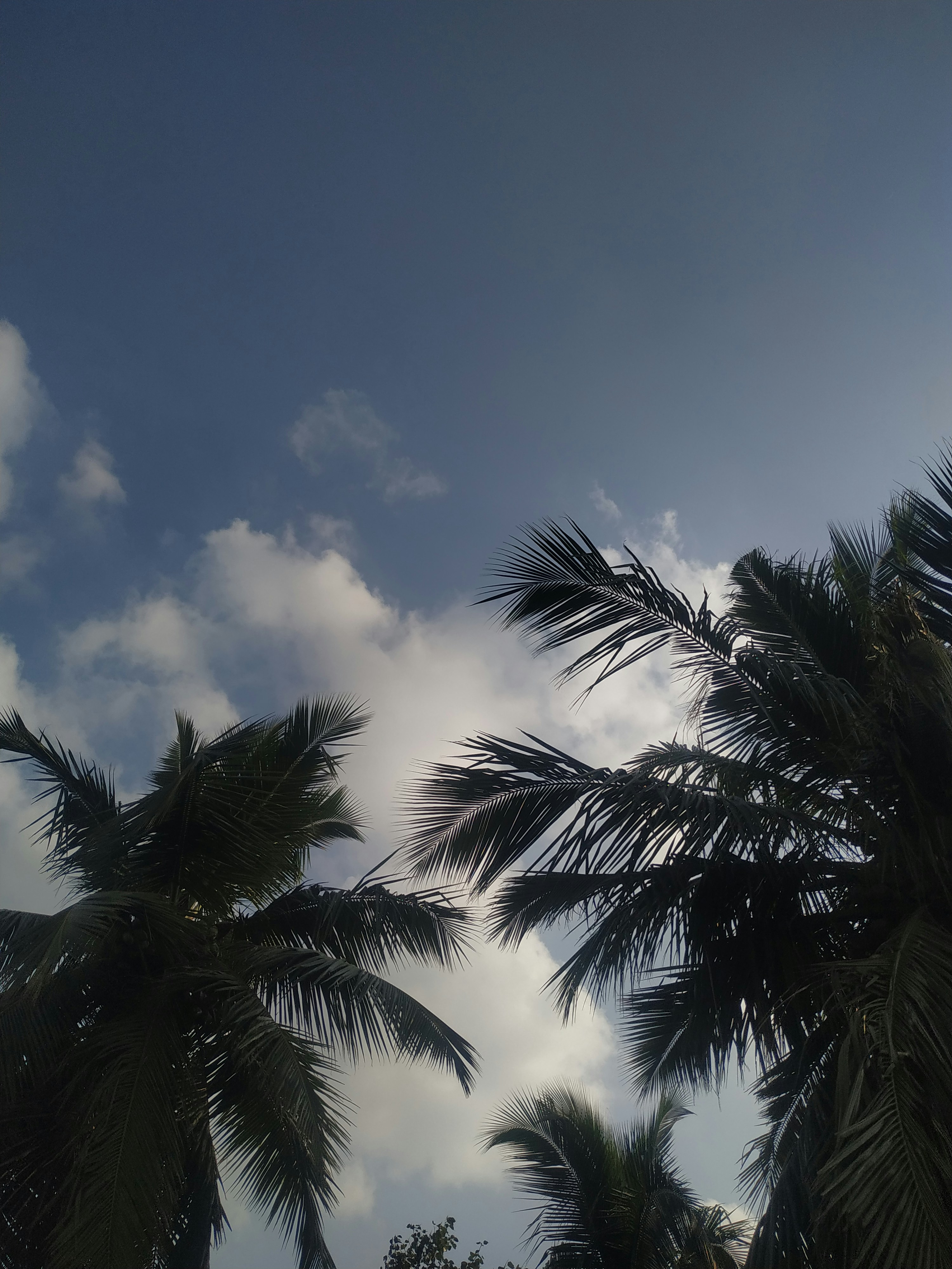 Photo by nephophilia_