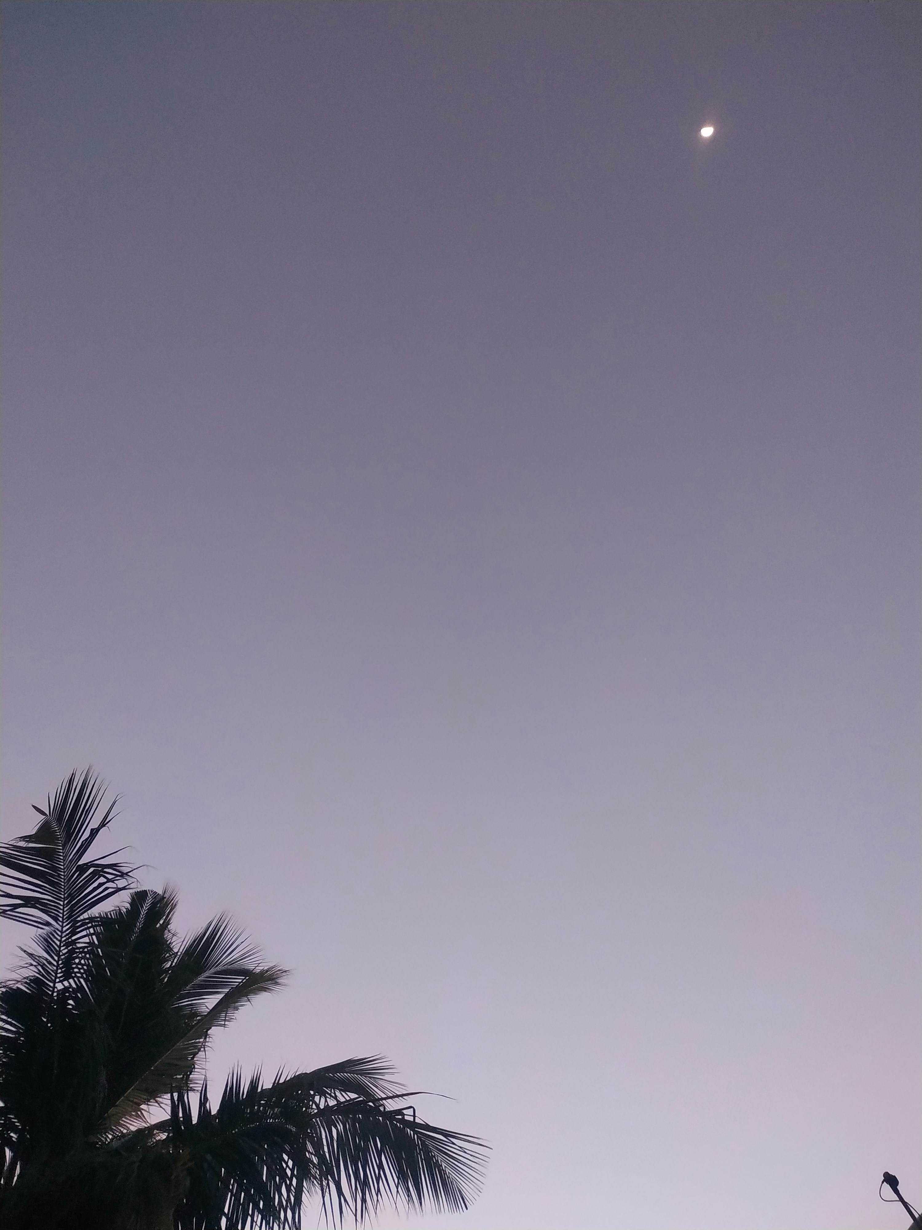 Photo by nephophilia_