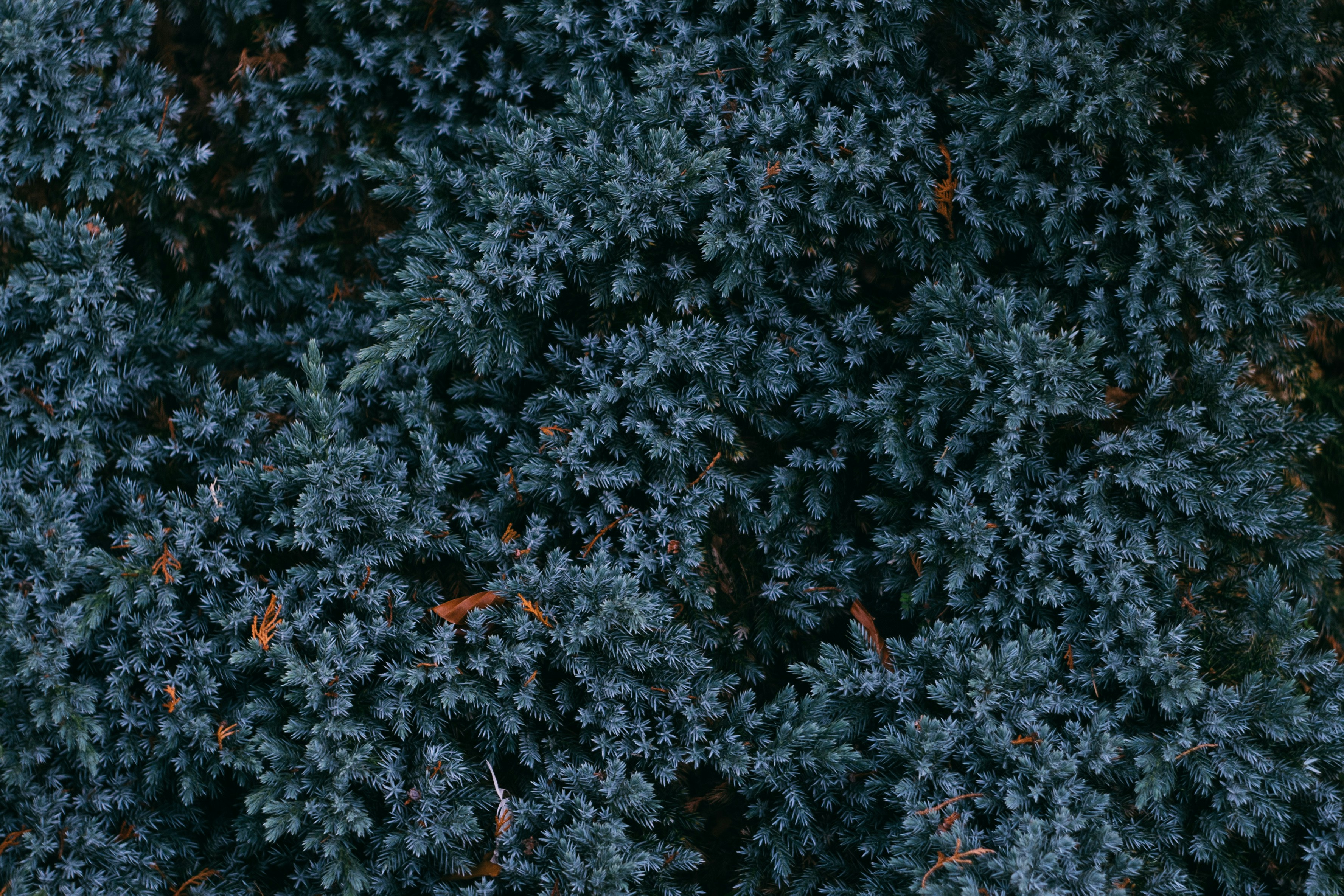 Photo by gloriaviktoriia