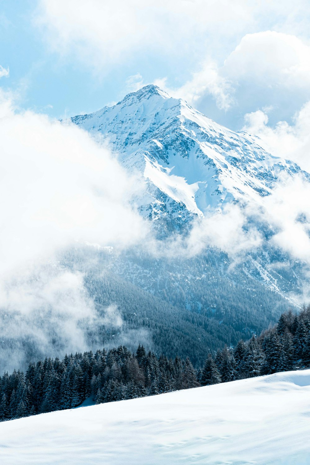 前景に木々が生い茂る雪山