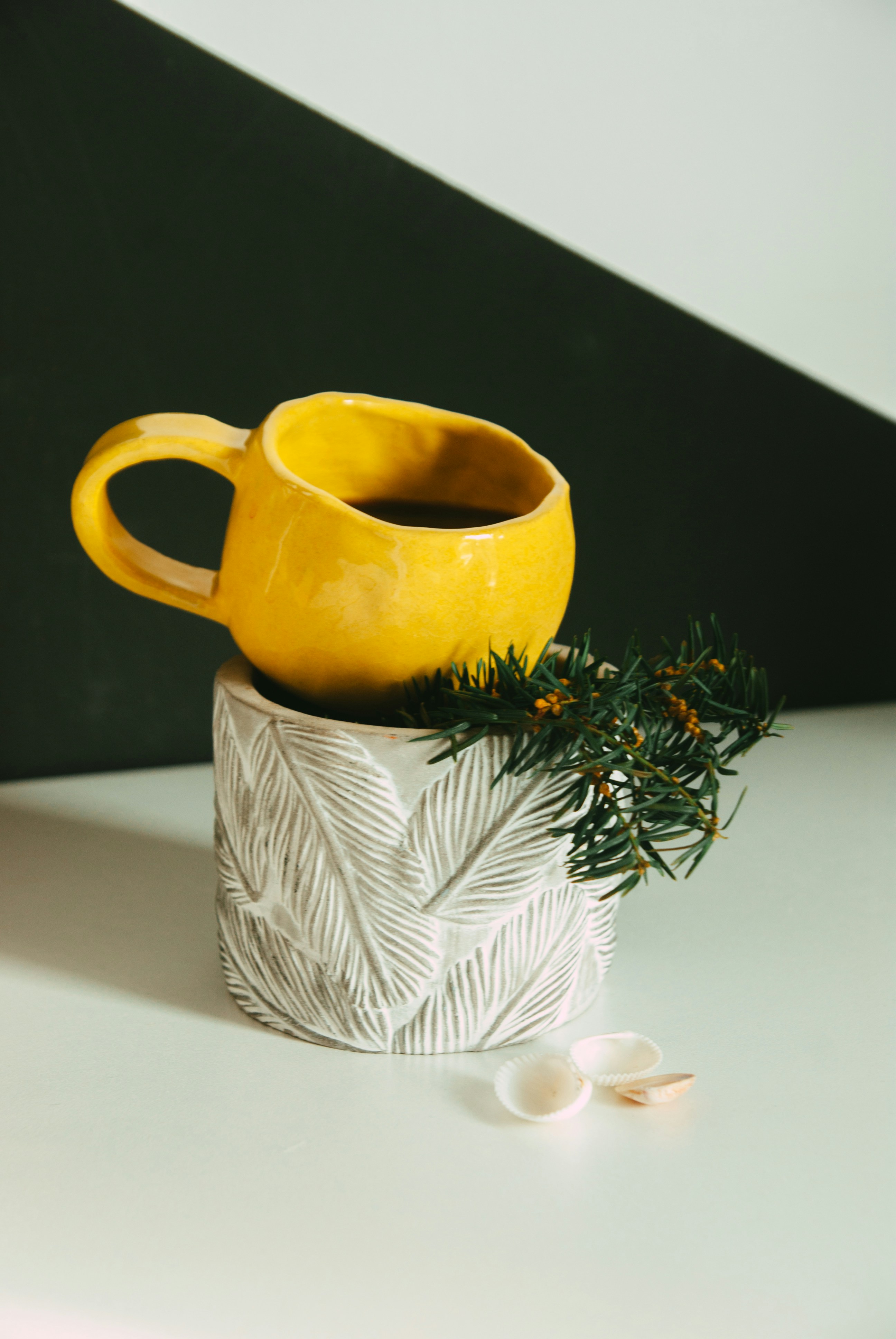 Photo by moonmoons_days