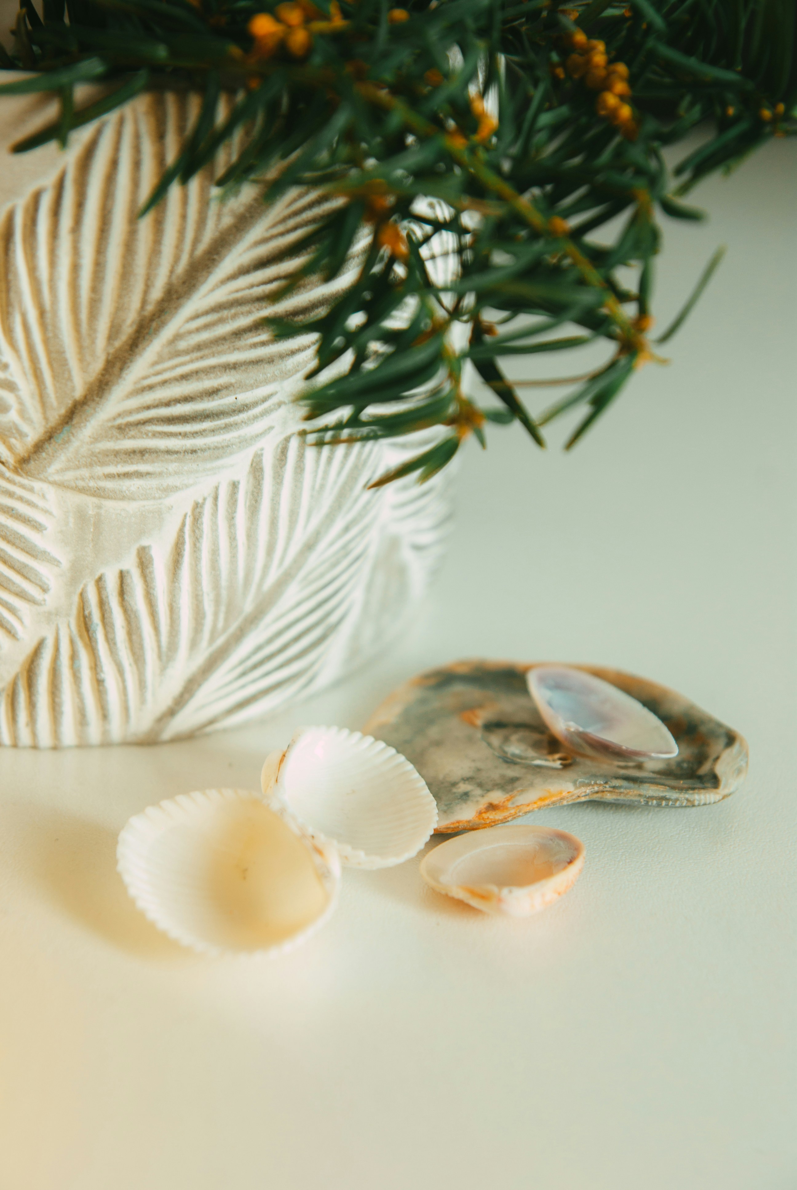 Photo by moonmoons_days