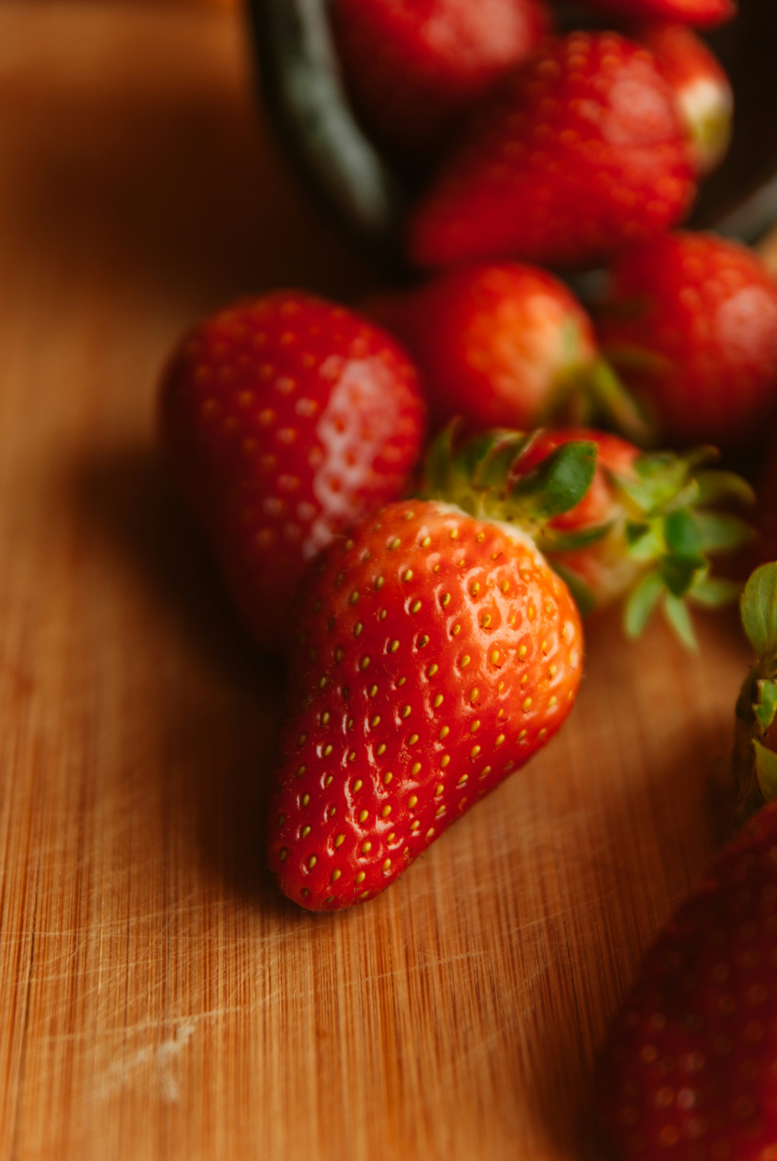 Photo by moonmoons_days