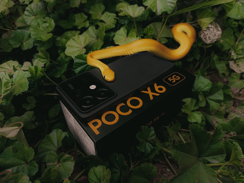 a yellow snake sitting on top of a black box