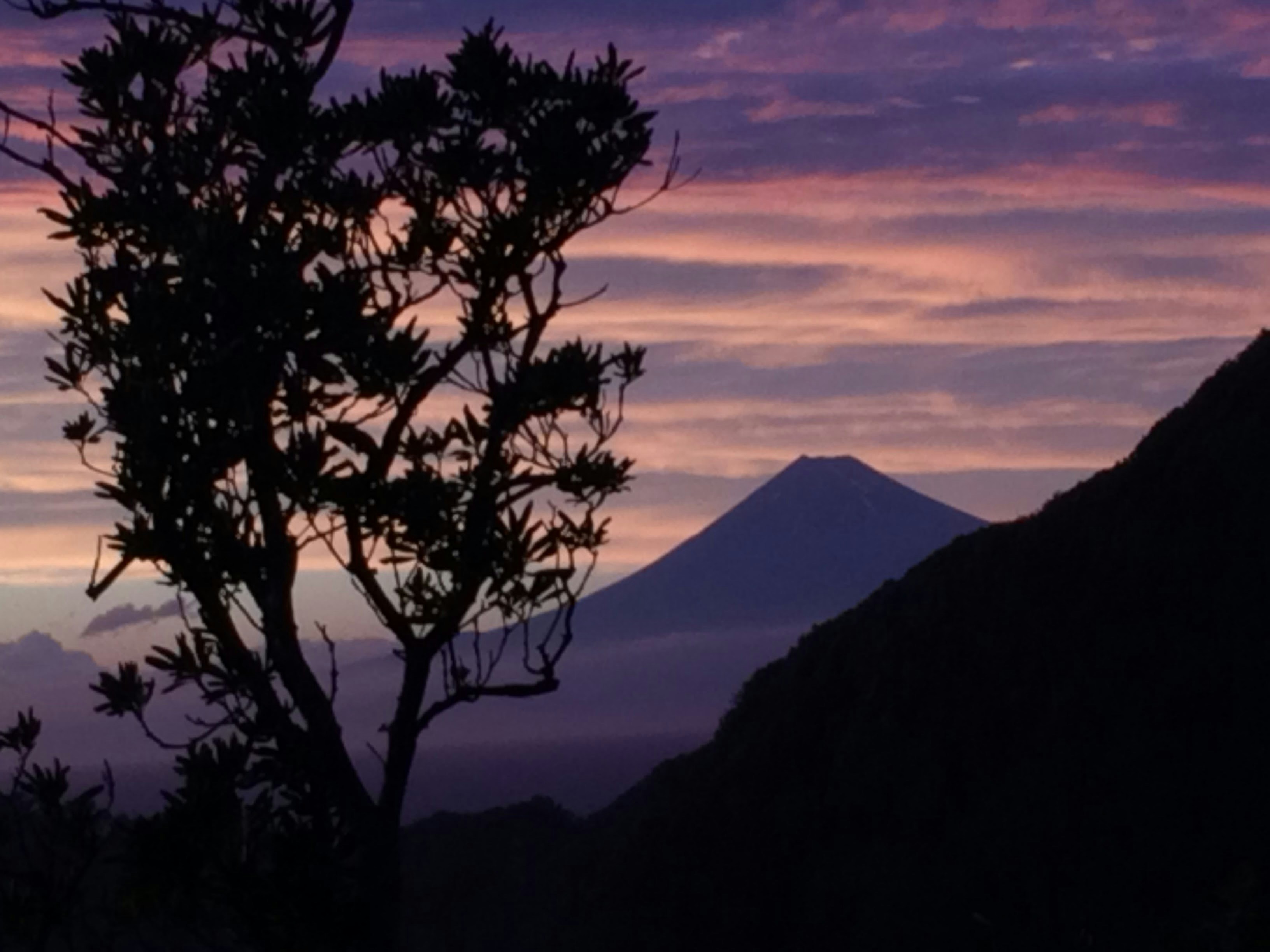 Photo by hotakasaito