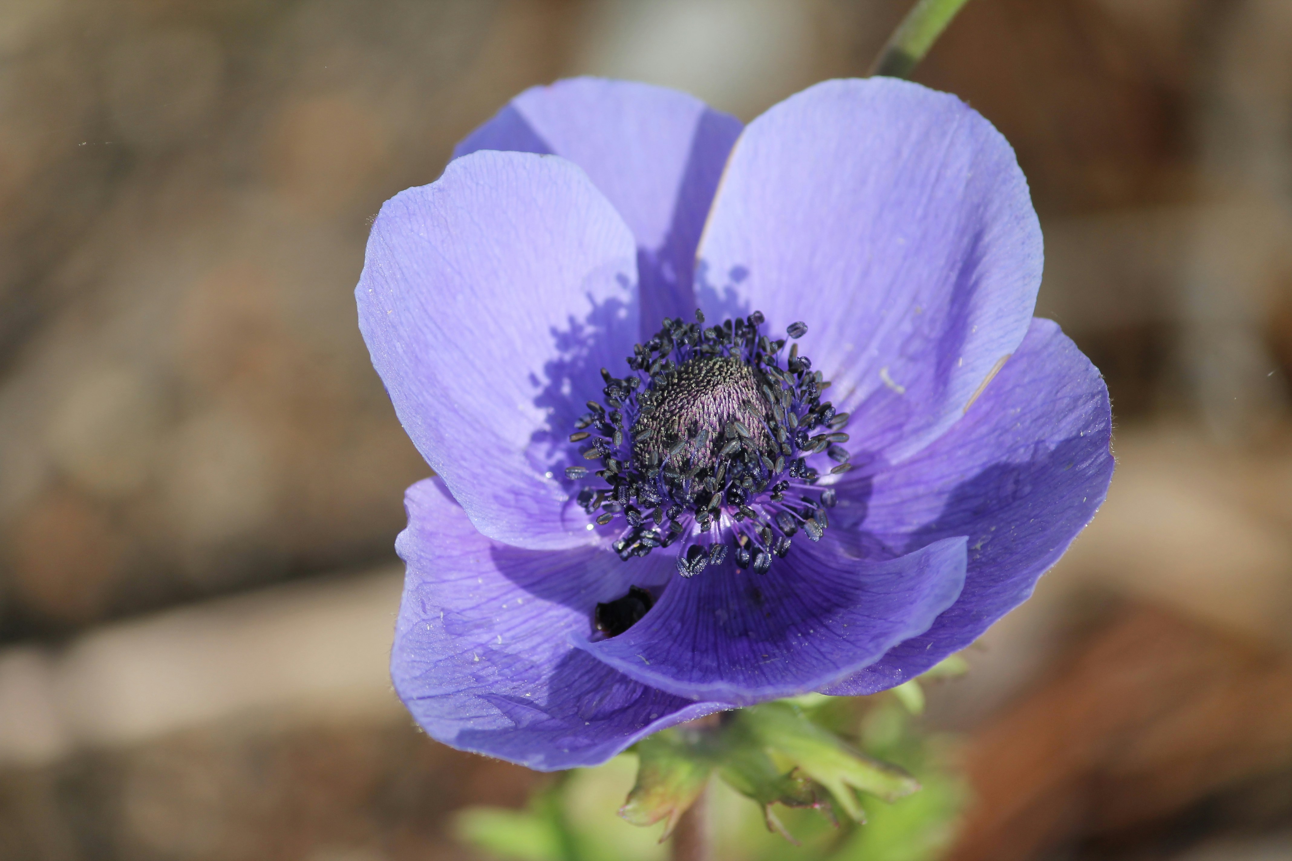 Photo by annetteangela